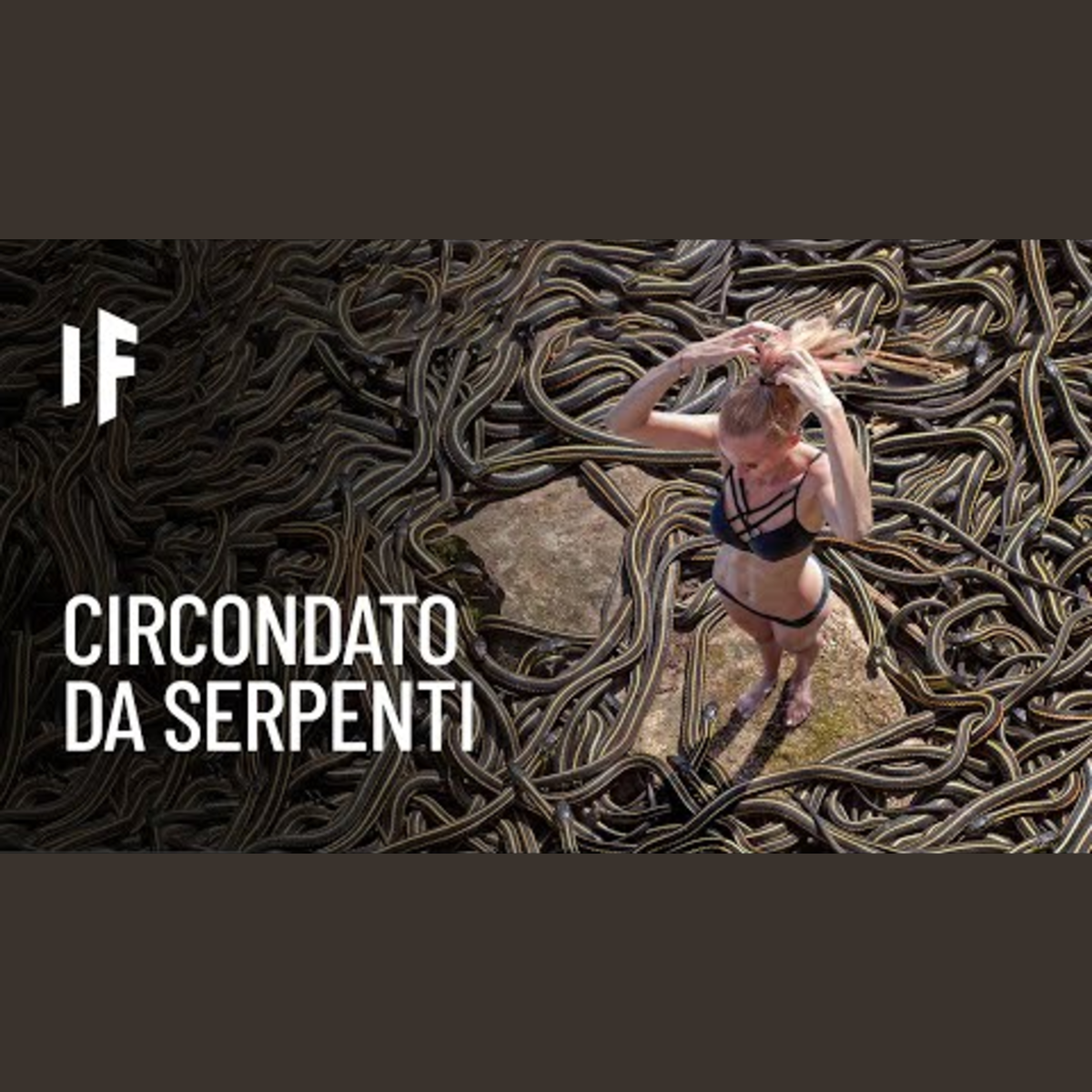 E se passassi un mese sull'isola dei serpenti? episode artwork