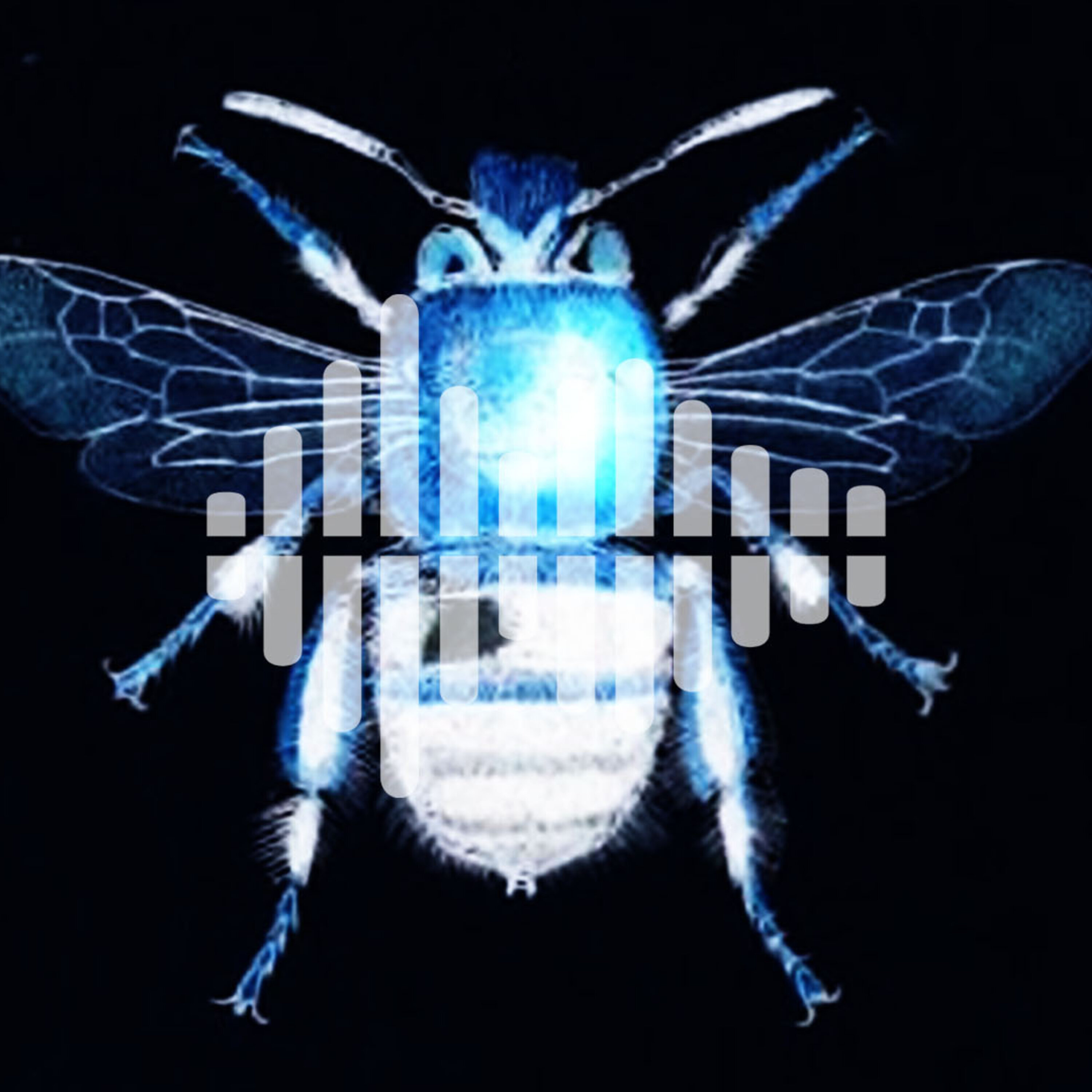 Taking the politicians out of tough policy decisions; the late, great works of Charles Turner; and the science of cooking