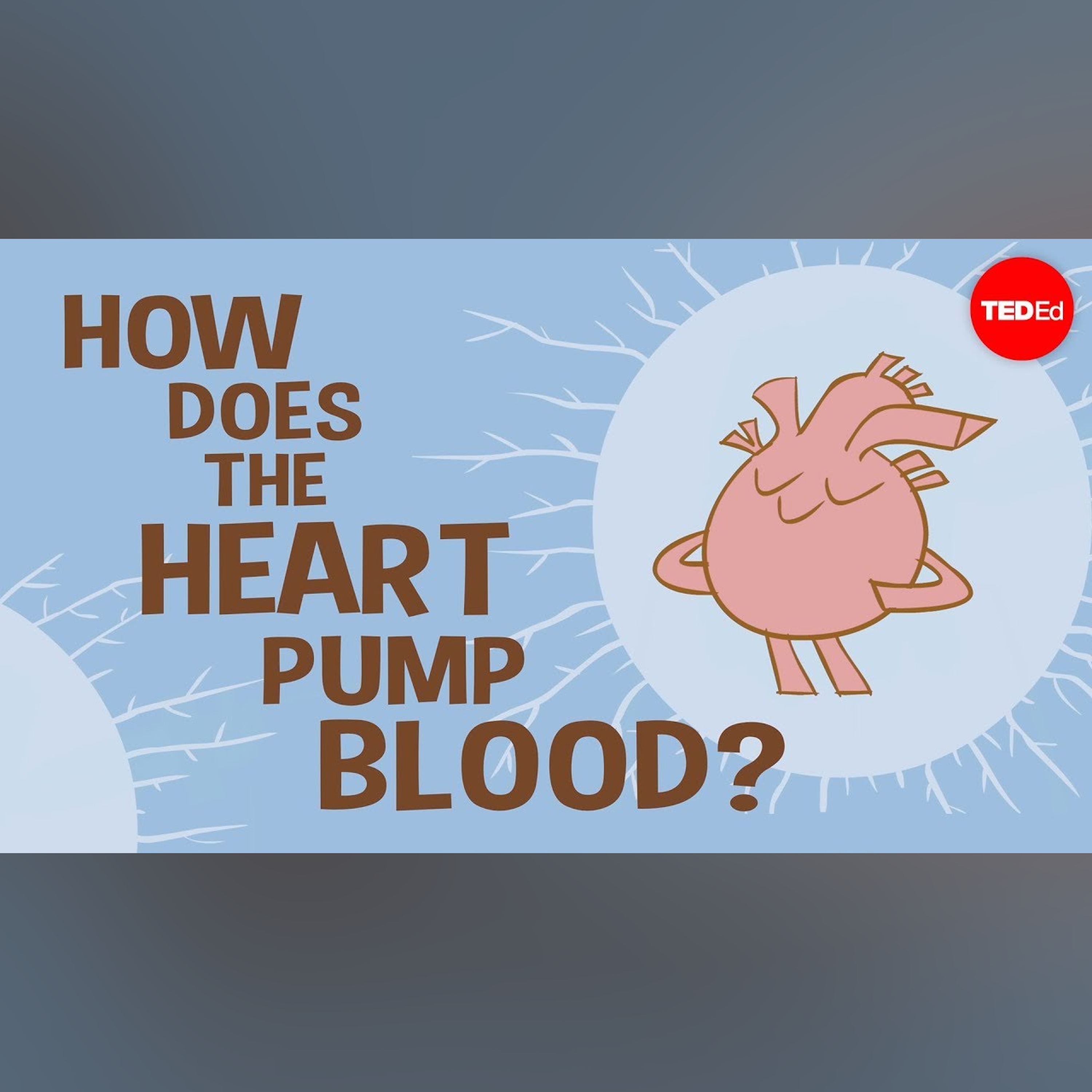 How the heart actually pumps blood - Edmond Hui episode artwork