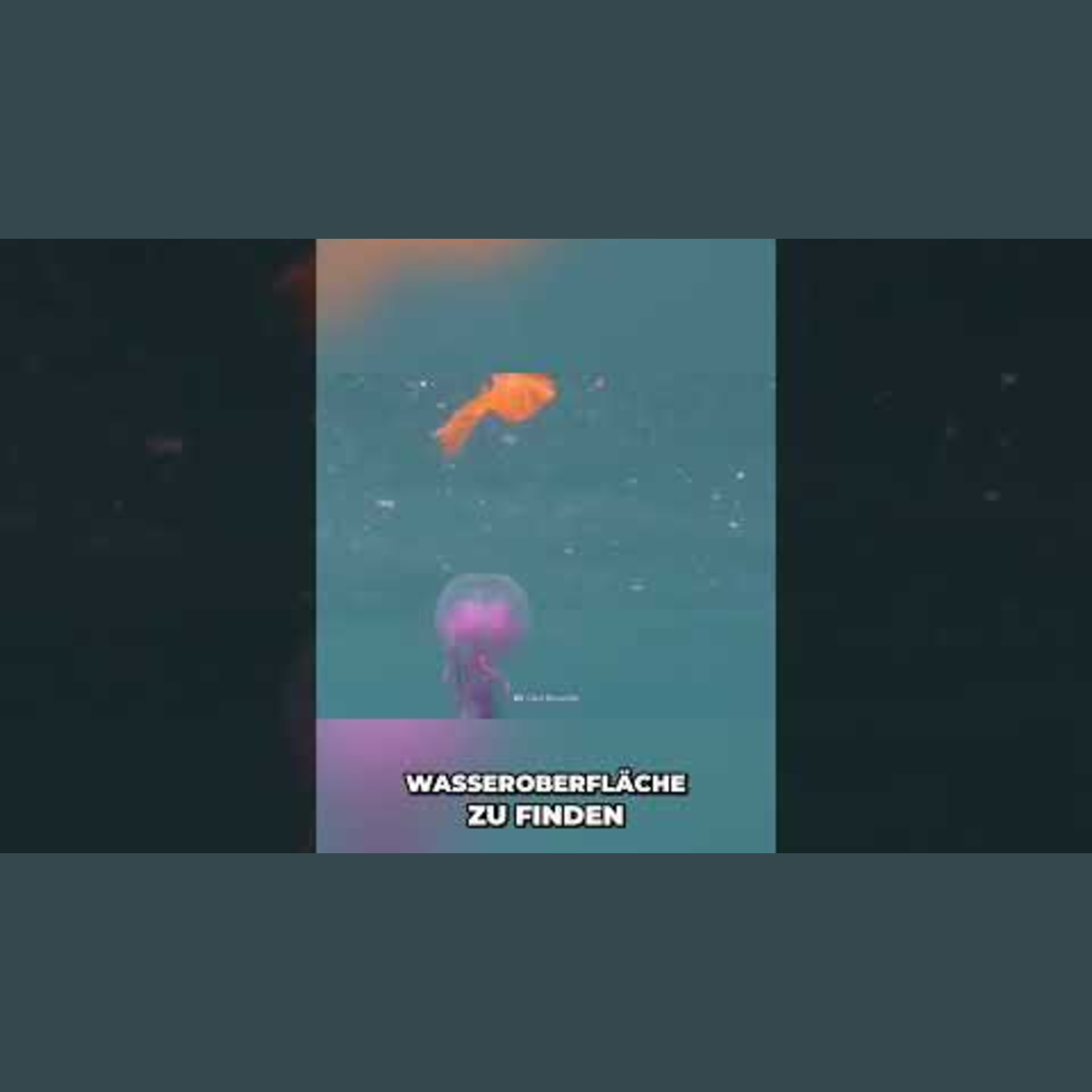 Gefährlichste Quallen  Überlebenstipps für tödliche Gewässer #shorts