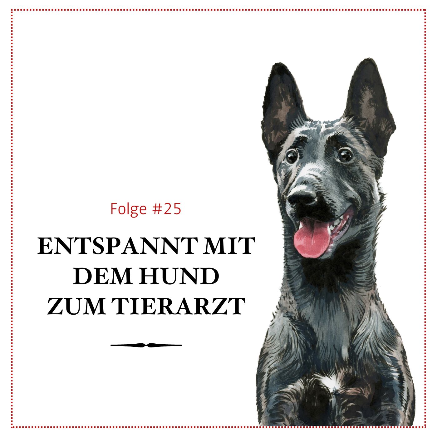 Entspannt mit dem Hund zum Tierarzt – #25