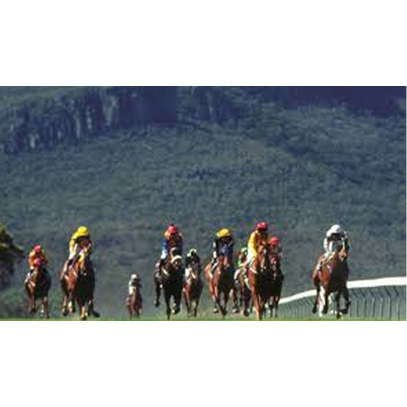 Country Racing Dunkeld Racing Club Lisa Evans chats to Andrew Kuuse episode artwork