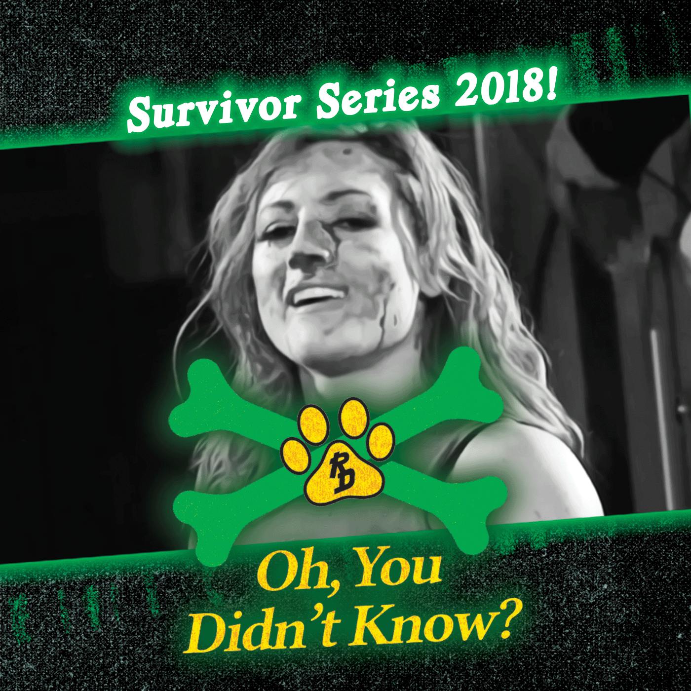 WWE Survivor Series 2018!