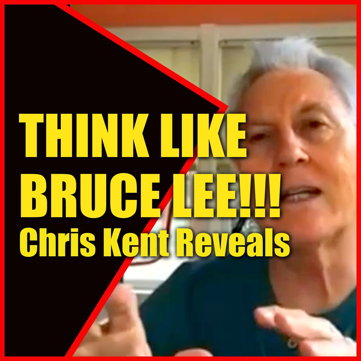 World of Martial Arts Show