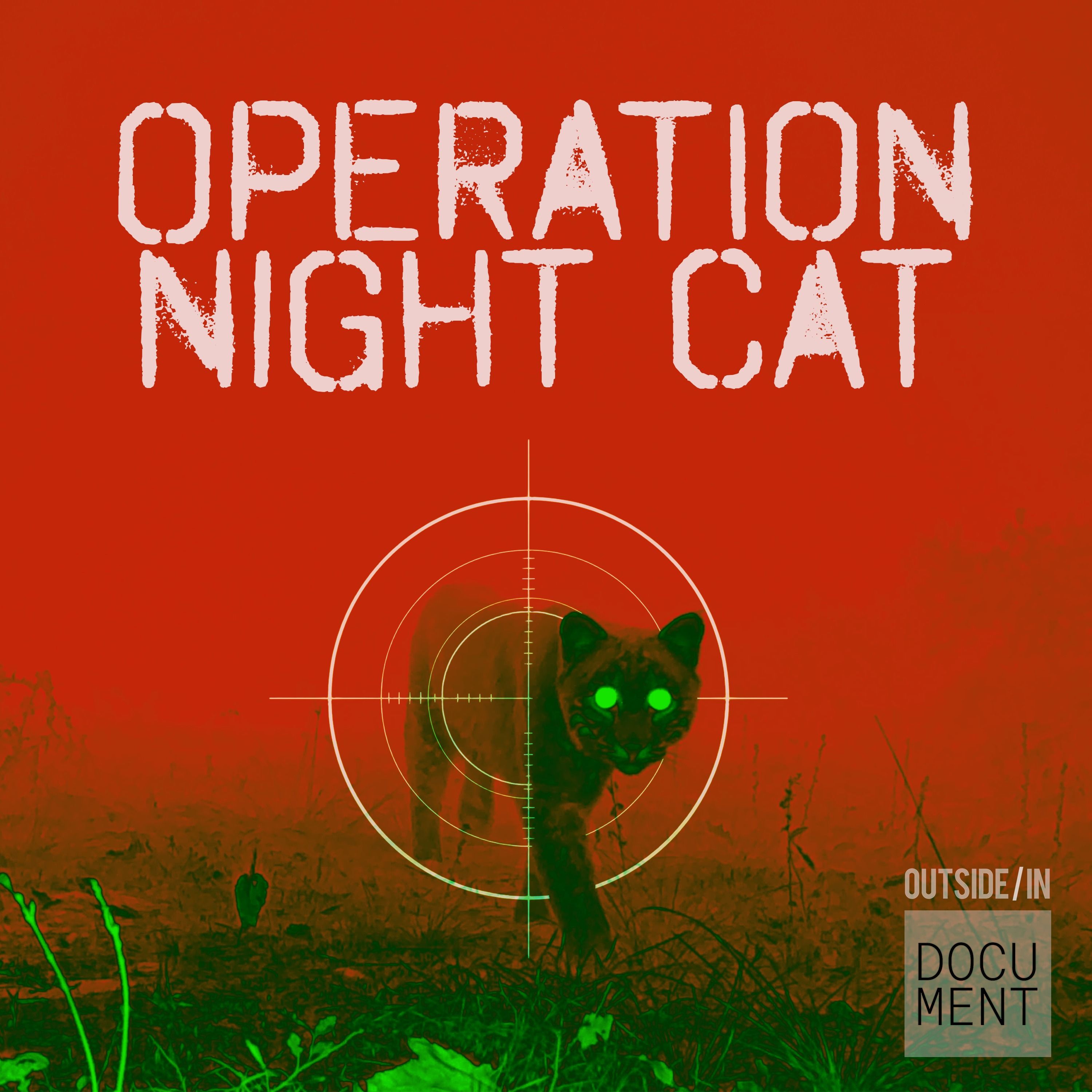Operation Night Cat, Episode 3: A Duck’s a Duck