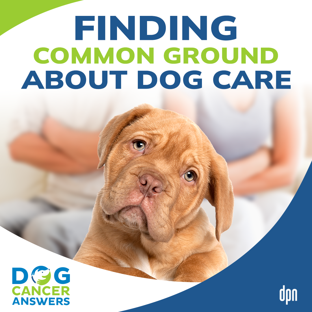 Arguing About Dog Cancer | Jeannine Moga #232