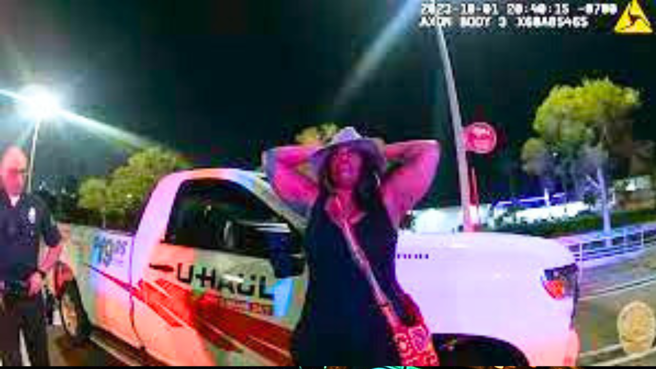 Angry mom runs over pedestrian and almost hits cops in California episode artwork