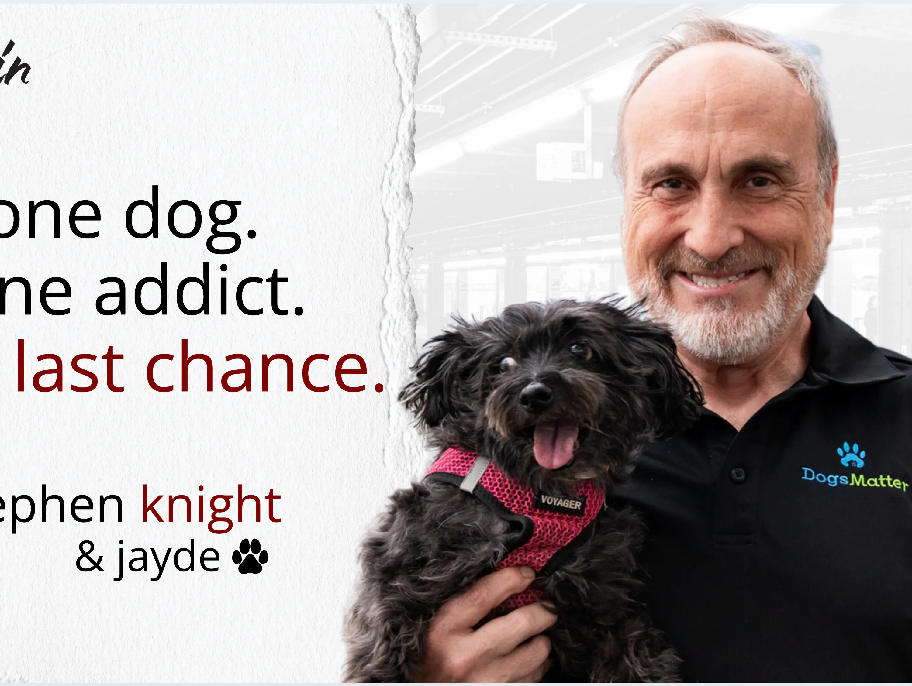 One Dog. One Addict. One Last Chance. episode artwork