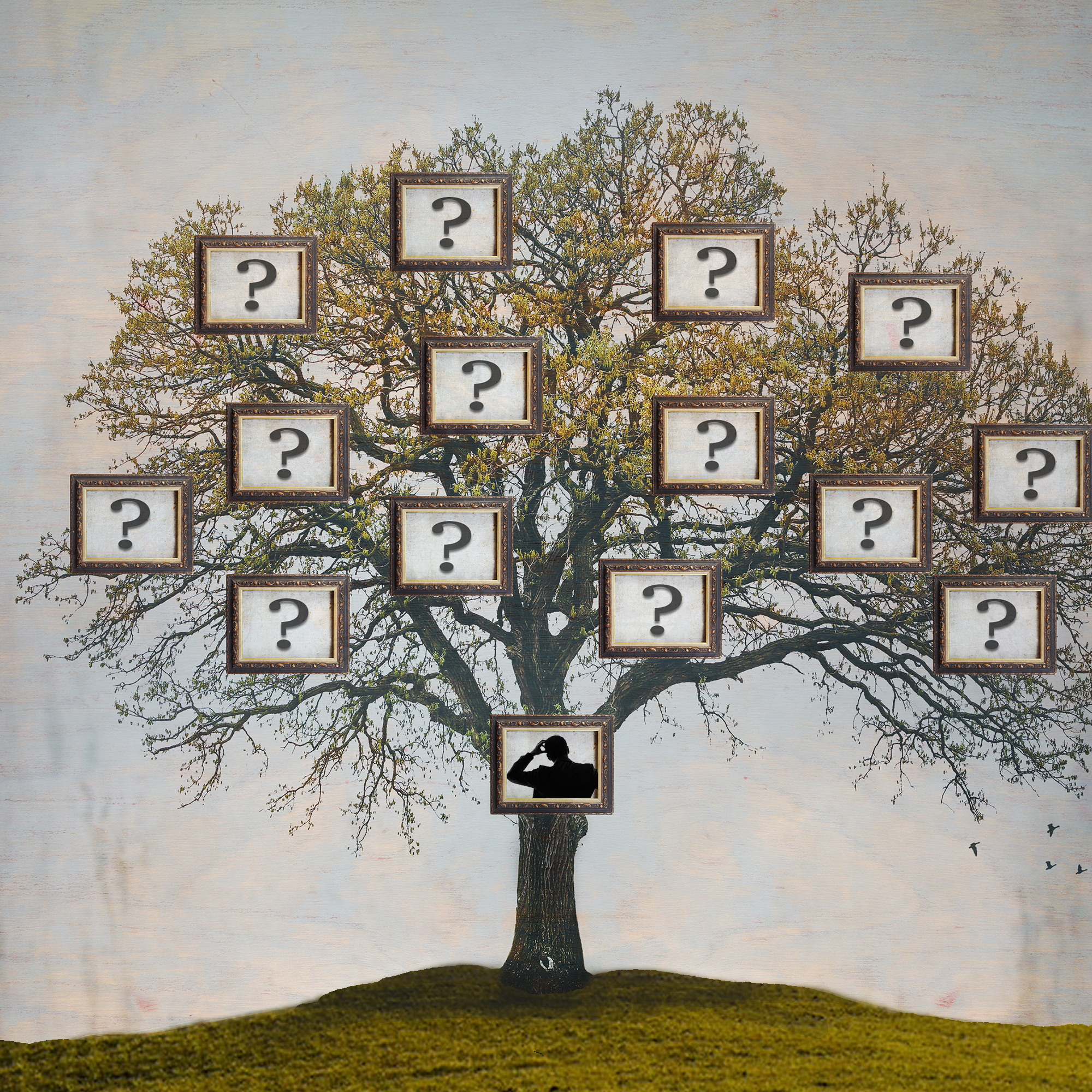 Thumbnail for "The Halves".