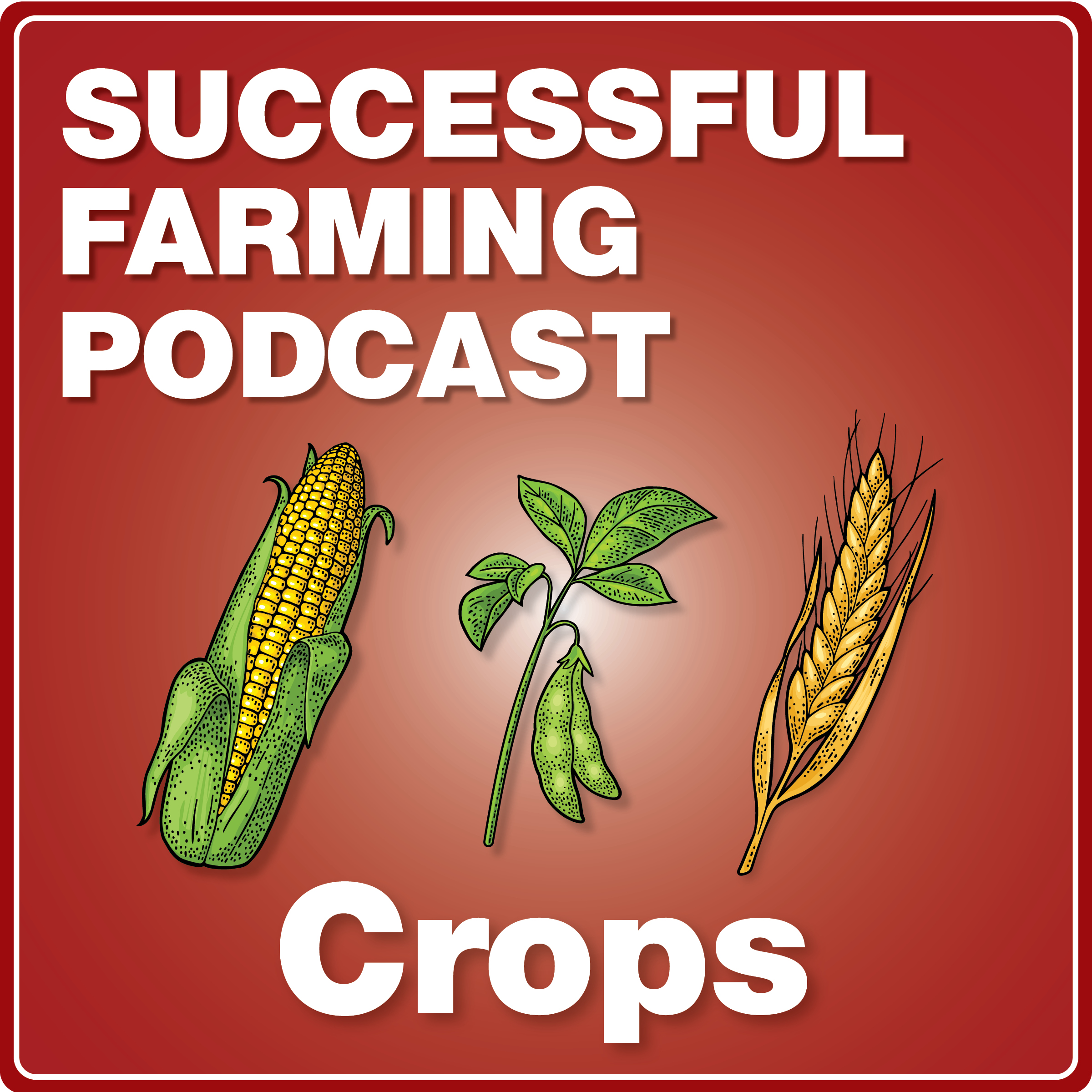 Cutting Costs with Cover Crops and Manure Credits episode artwork