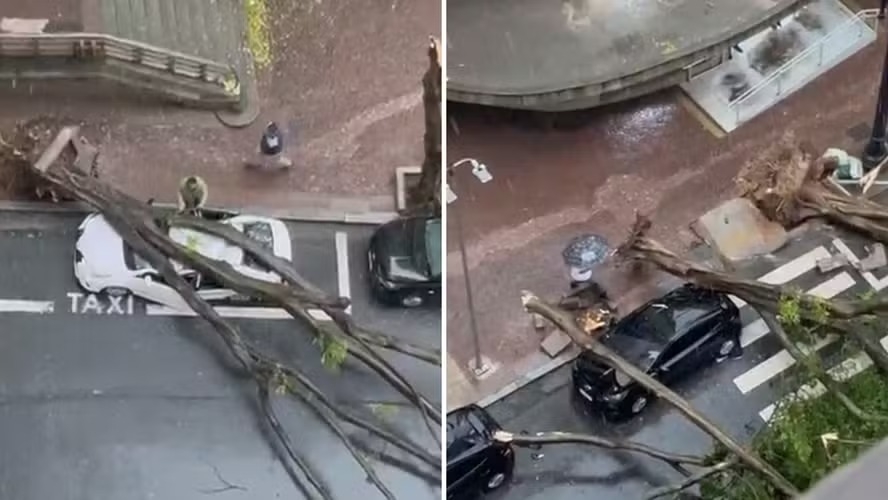 Fortes chuvas e ventanias em SP deixam ao menos 18 feridos e 20 desalojados