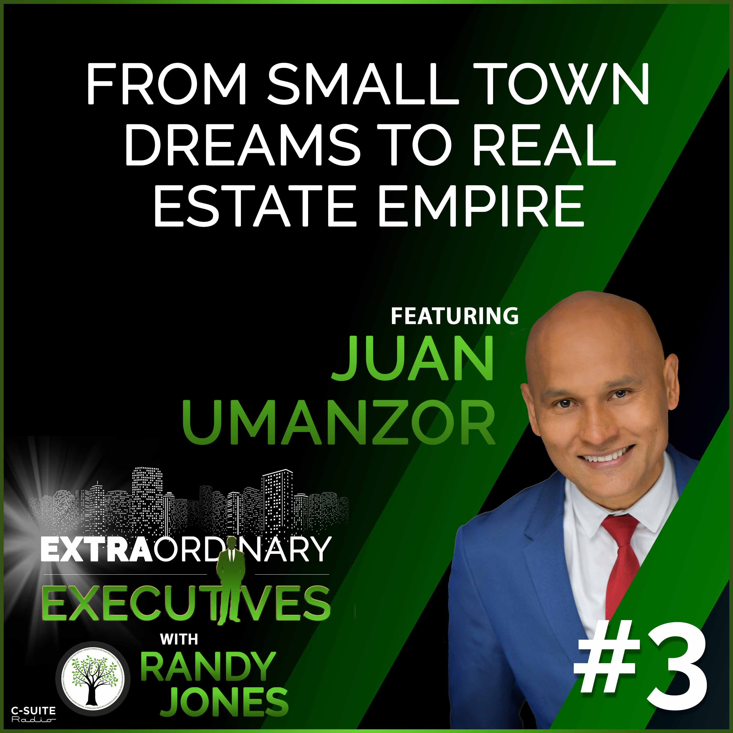 Extraordinary Executives