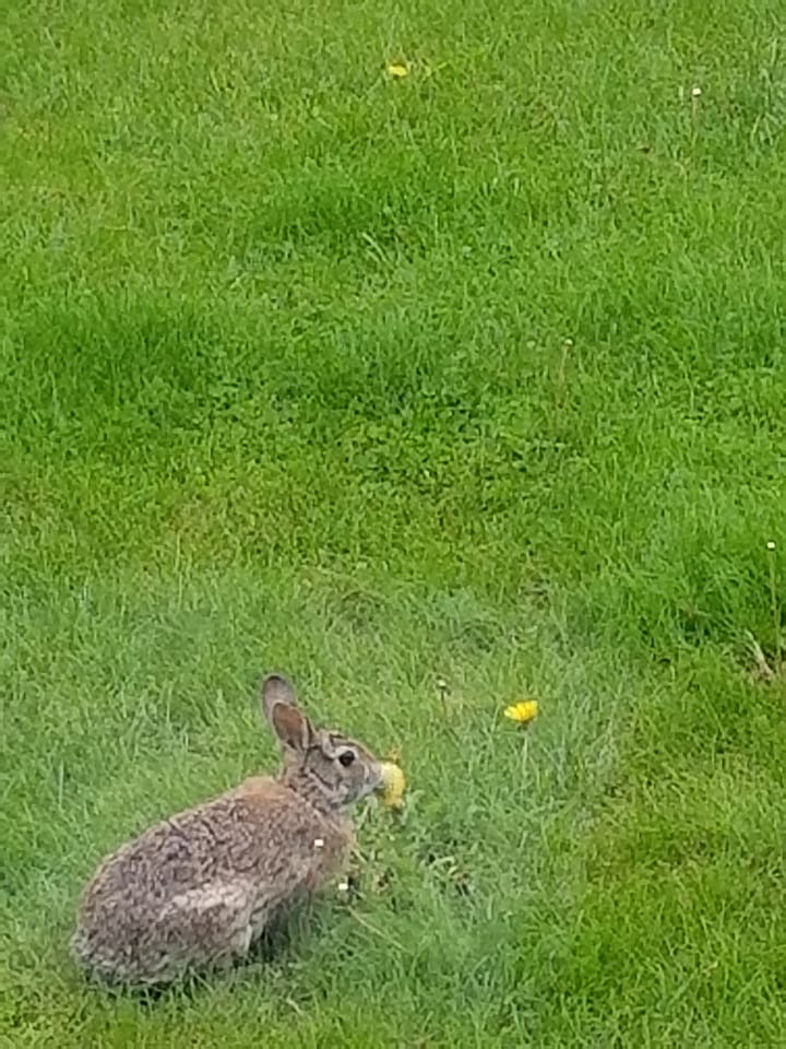 Troubadours and Raconteurs with E.W. Conundrum Demure - Conversation, Essays, Poetry & Music.