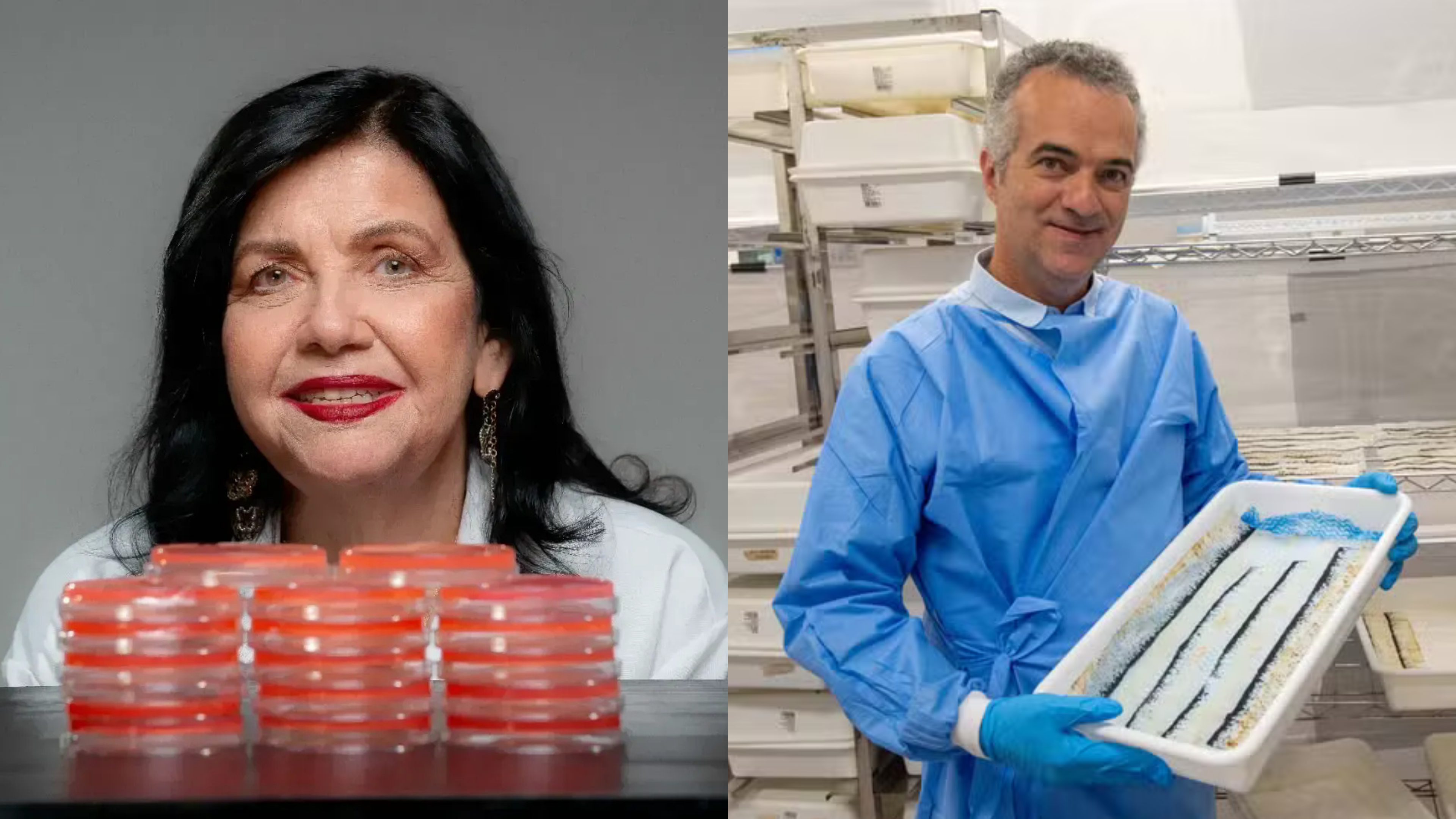 ‘Nós não fazemos ciência no Brasil, fazemos milagre’, diz pesquisadora que está na lista da Time