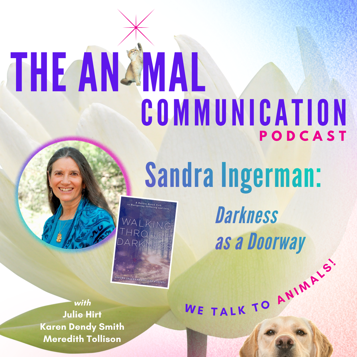 Darkness as a Doorway with Sandra Ingerman