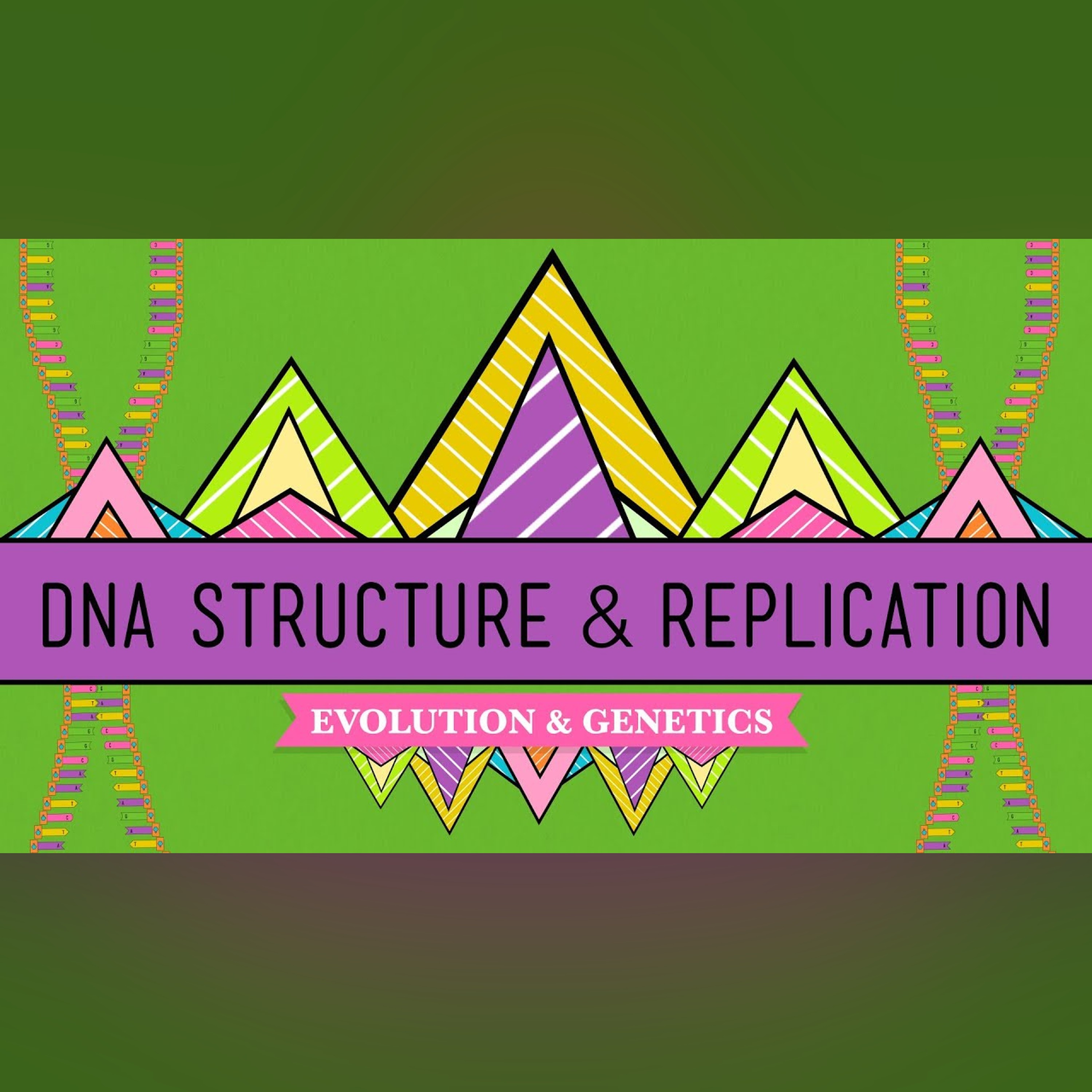DNA Structure and Replication: Crash Course Biology #10