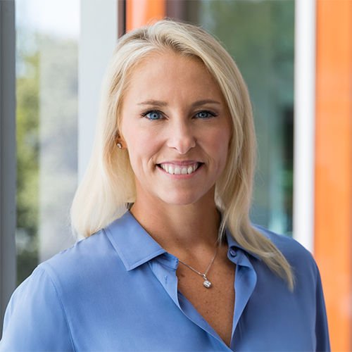 Inside the ICE House