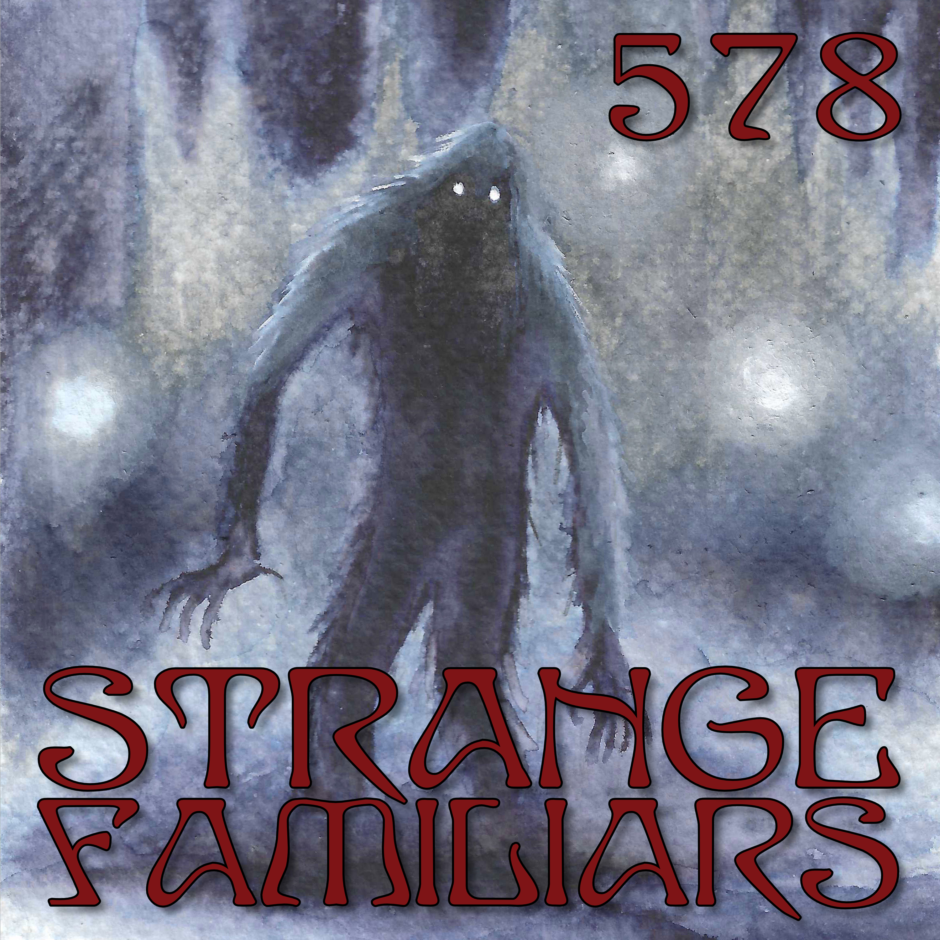 Return to Hairy Springs