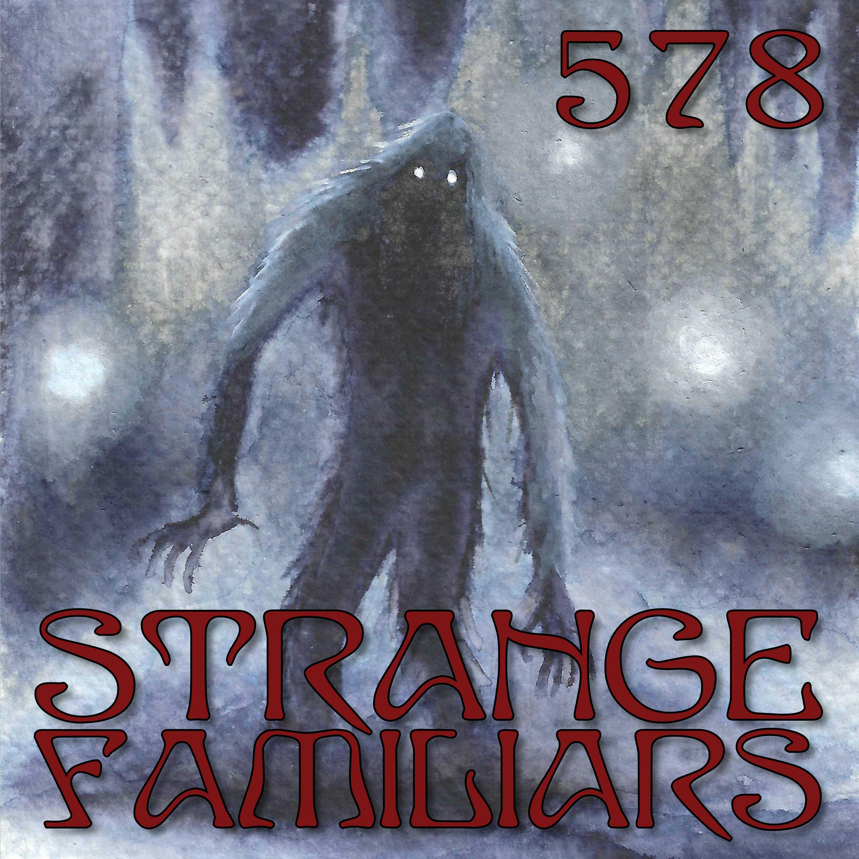 Return to Hairy Springs Return to Hairy Springs