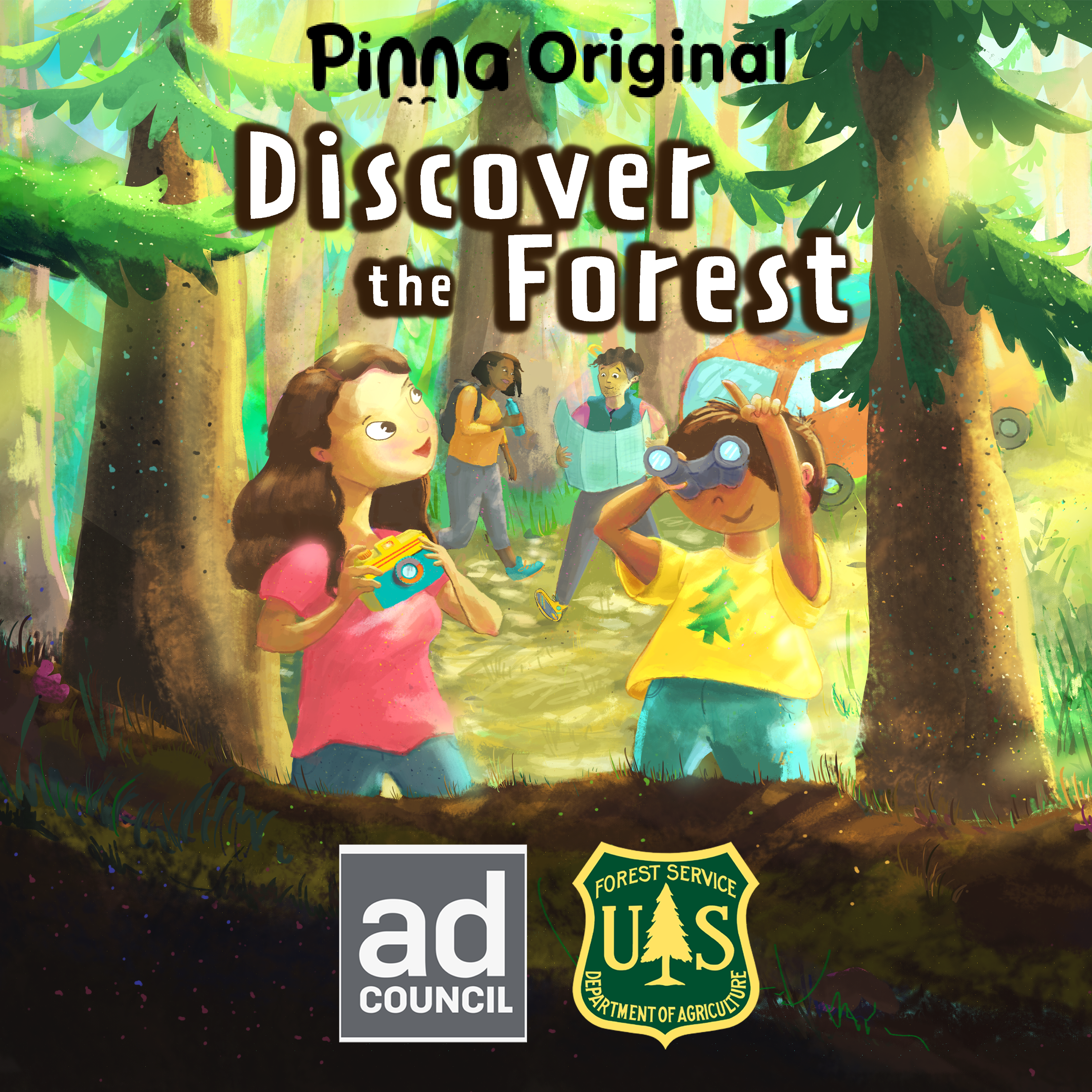 Discover the Forest