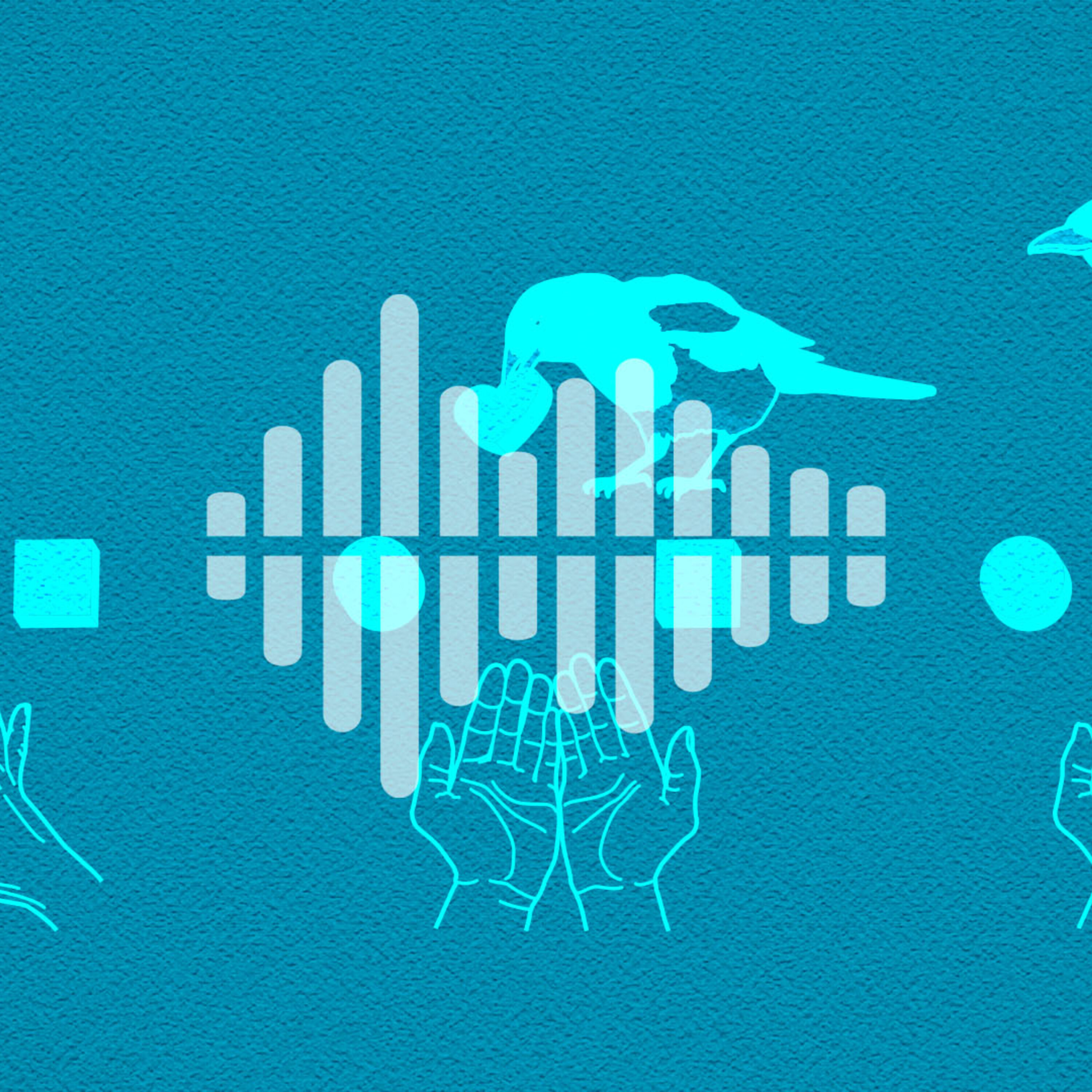 Performing magic for animals, and why the pandemic is pushing people out of prisons