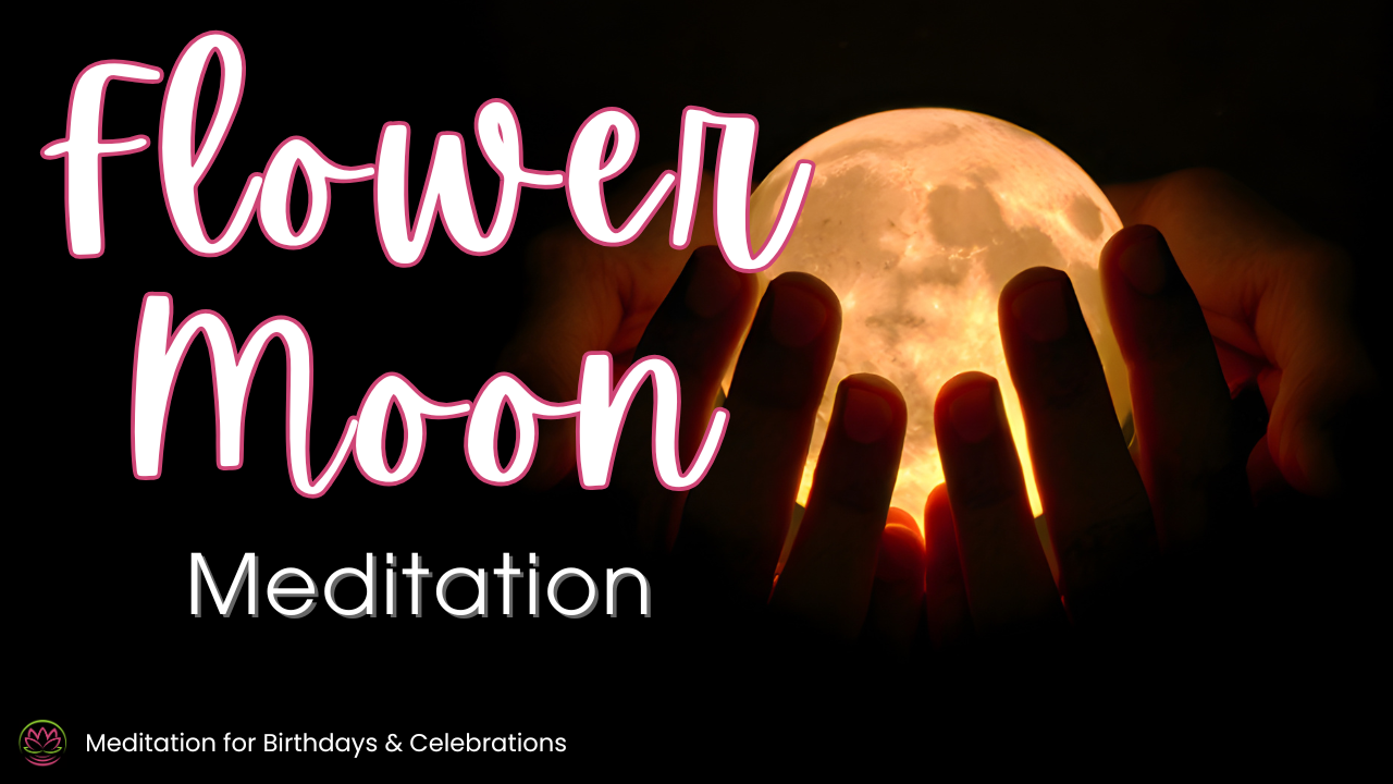 Flower Moon Meditation 🌸 Full Moon Ritual for Renewal, Release and New Beginnings episode artwork