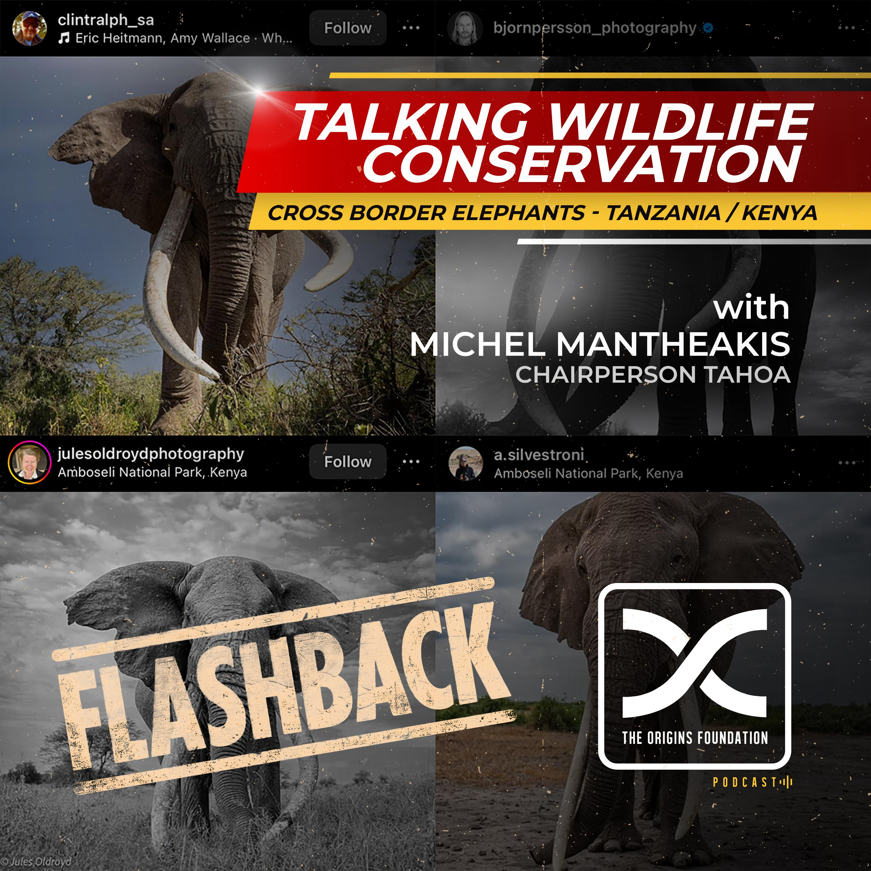 Flashback: Michel Mantheakis | Tanzania Hunters and Operators Association episode artwork
