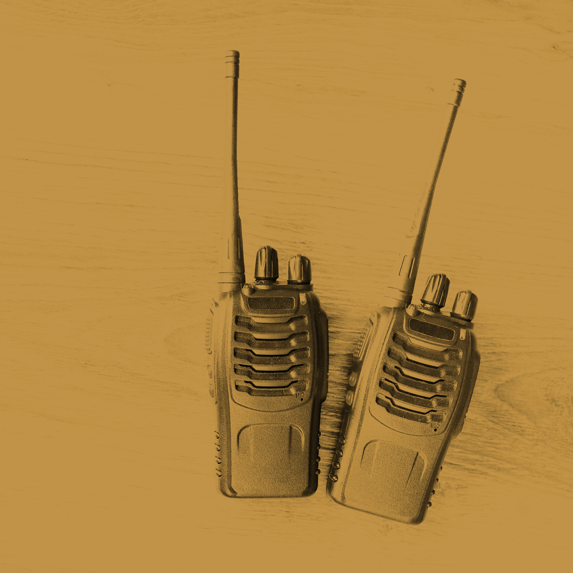 Thumbnail for "After the Hum".