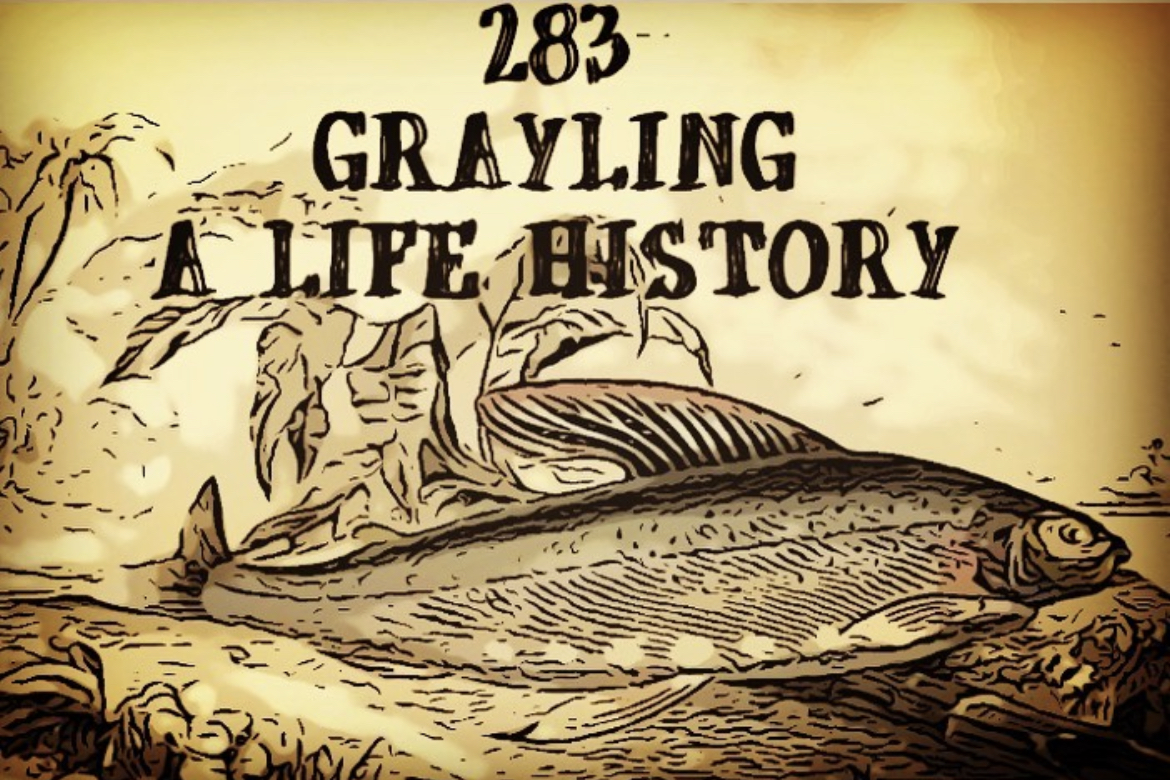 Fly Fishing Consultant Podcast