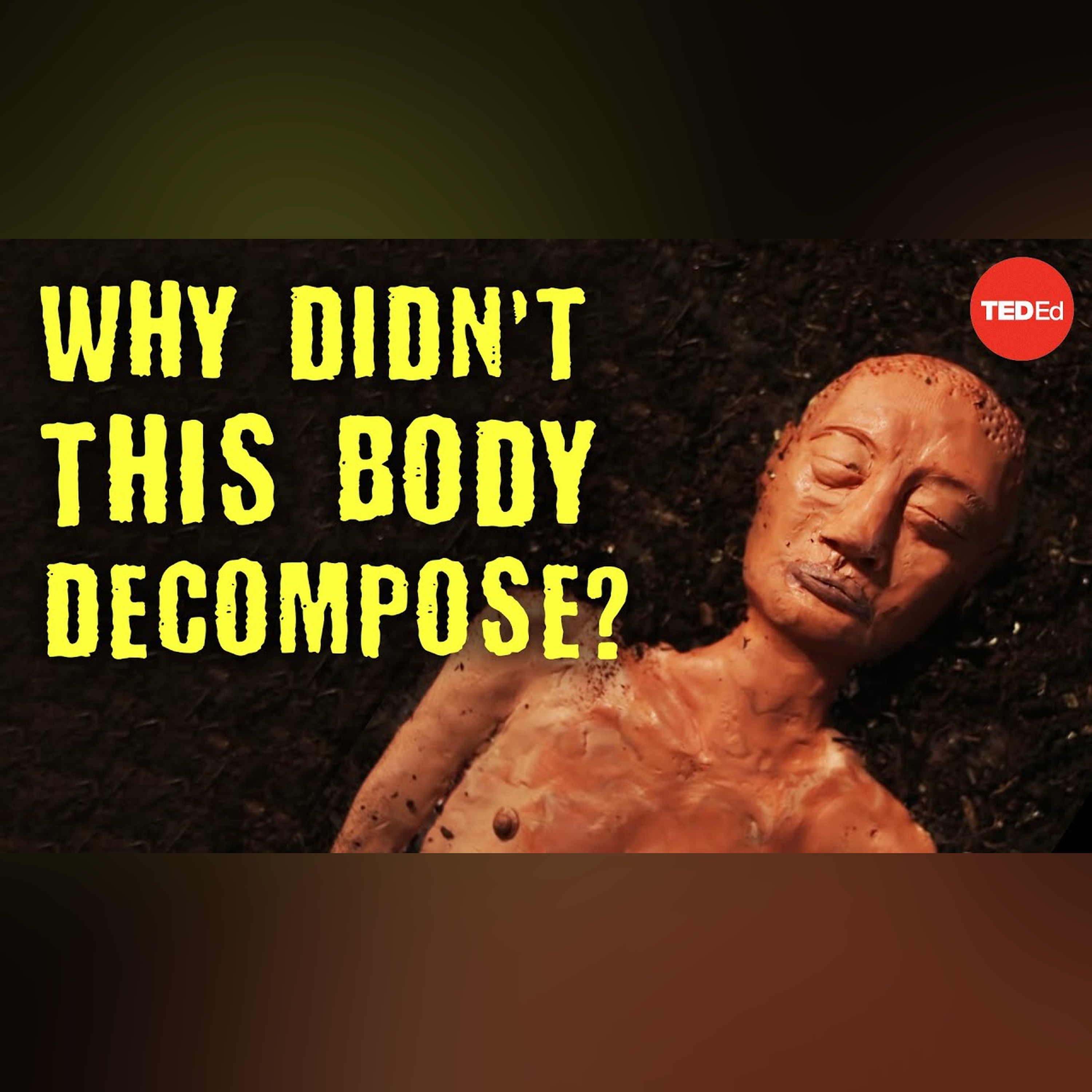 Why didn’t this 2,000 year old body decompose? - Carolyn Marshall episode artwork