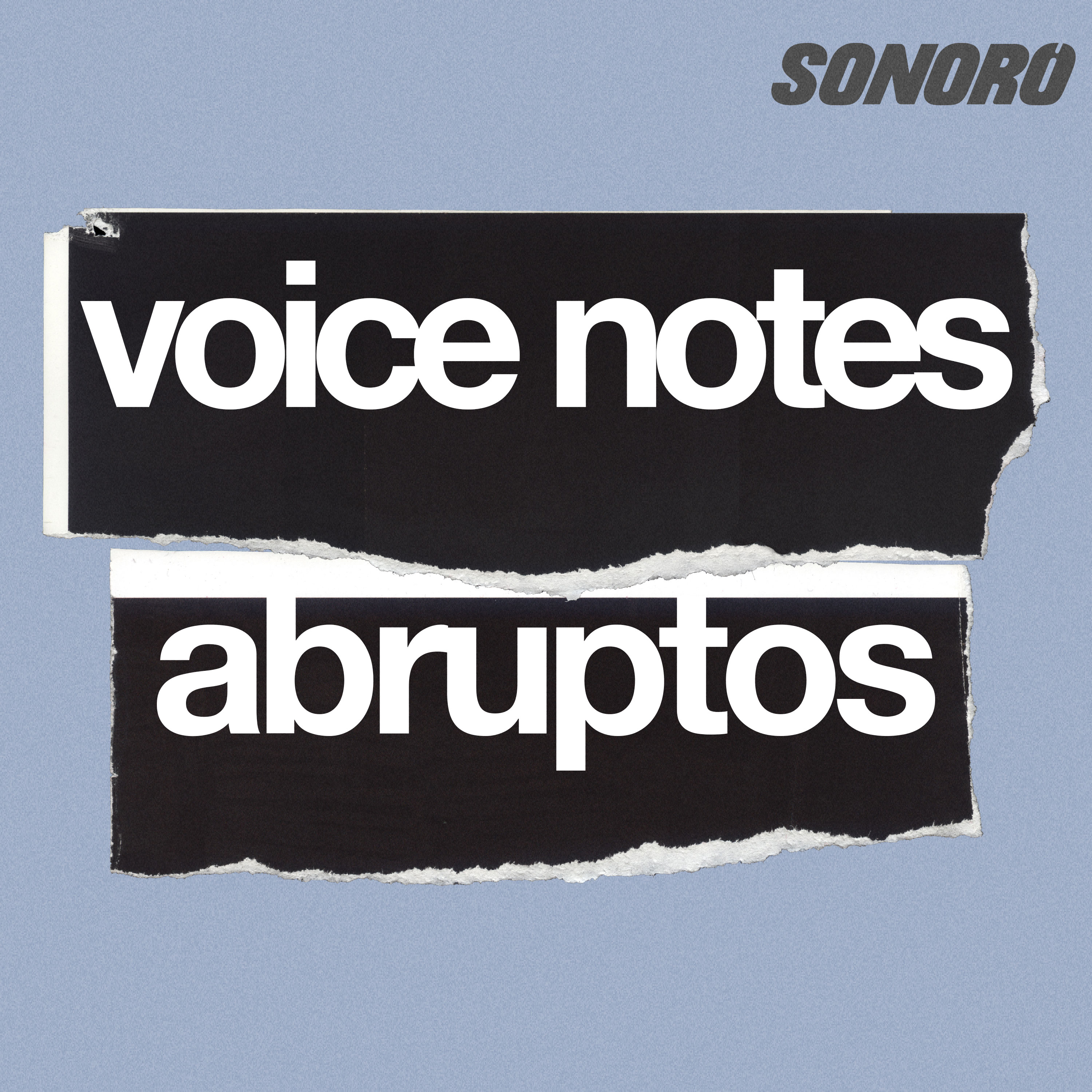 ¿Tienes unos minutos para escuchar sobre el Brian Jonestown Massacre?  - Voice Note Abrupto