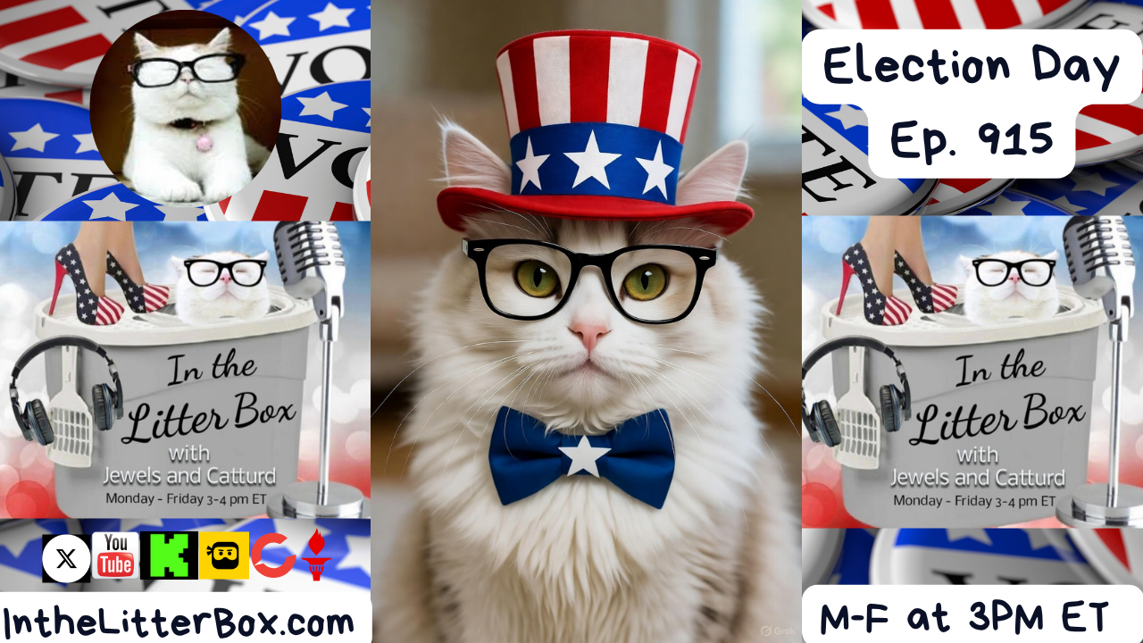 Election Day | In the Litter Box w/ Jewels & Catturd – Ep. 915 – 11/4/2025