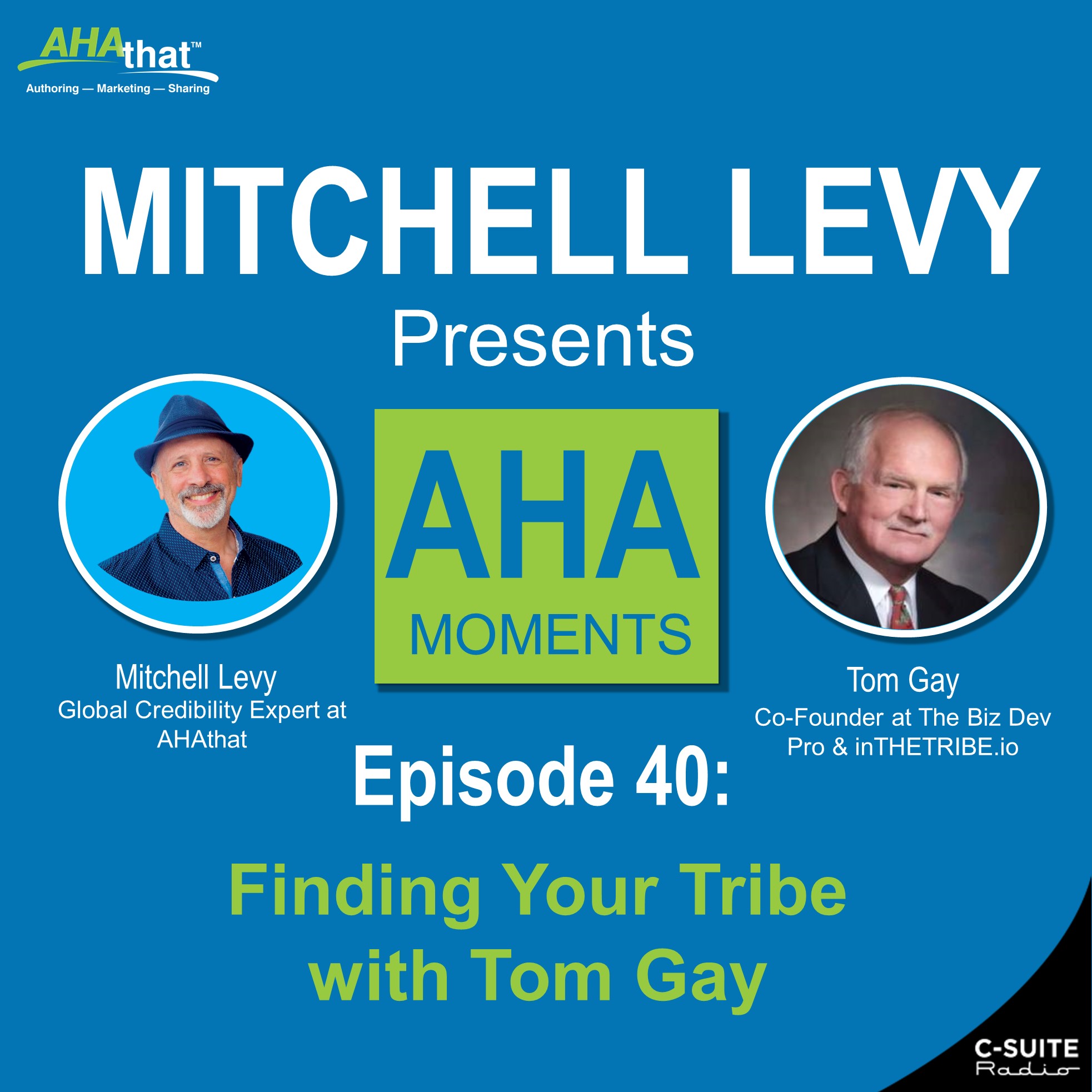 Mitchell Levy Presents AHA Moments