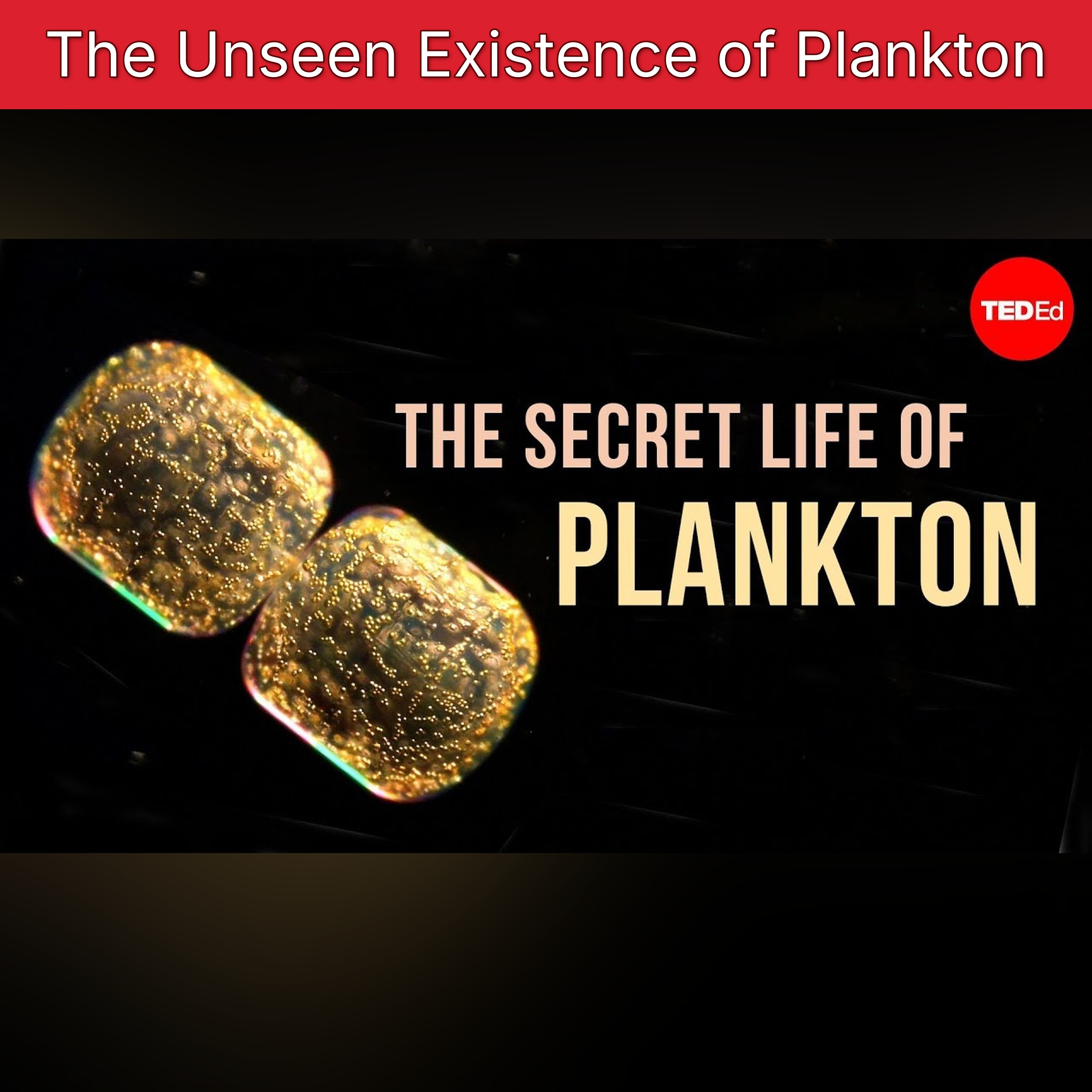 The Unseen Existence of Plankton episode artwork