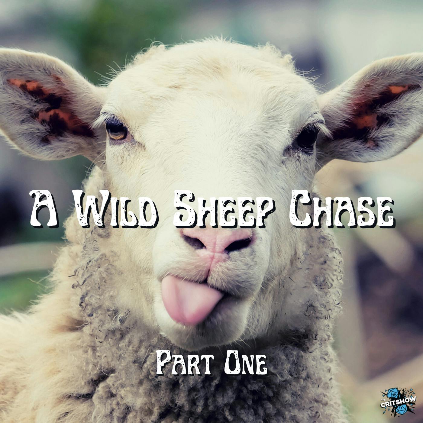 The Critshow: A Wild Sheep Chase (Part 1)