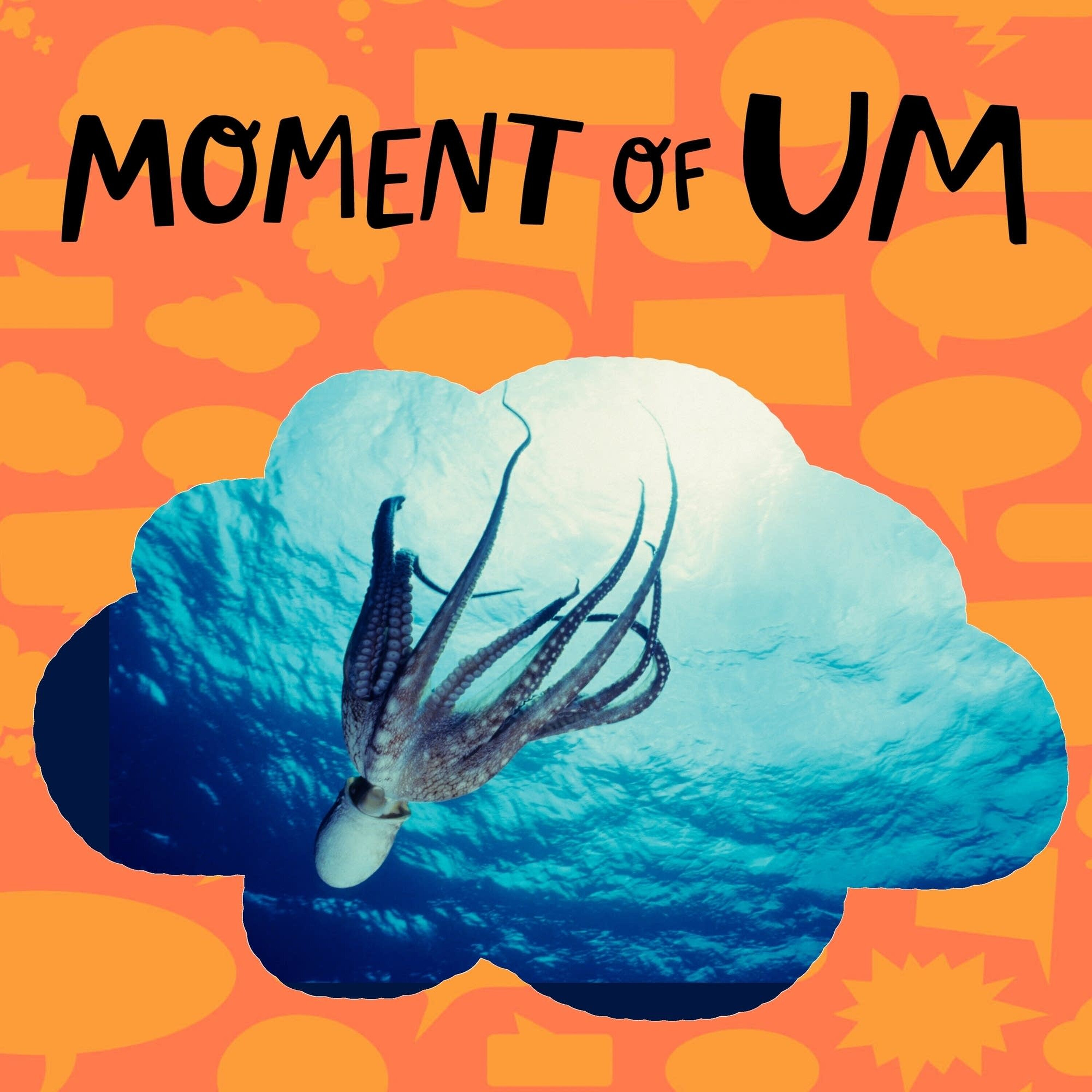 Do octopuses have brains?