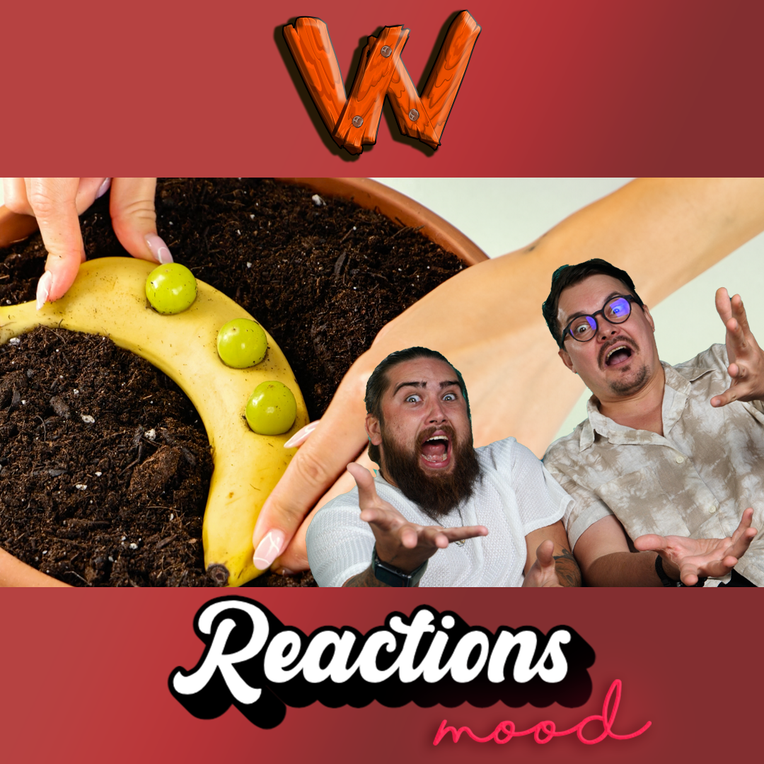 Regrow Your Leftovers: Smart Planting Ideas for Beginners - Reaction episode artwork