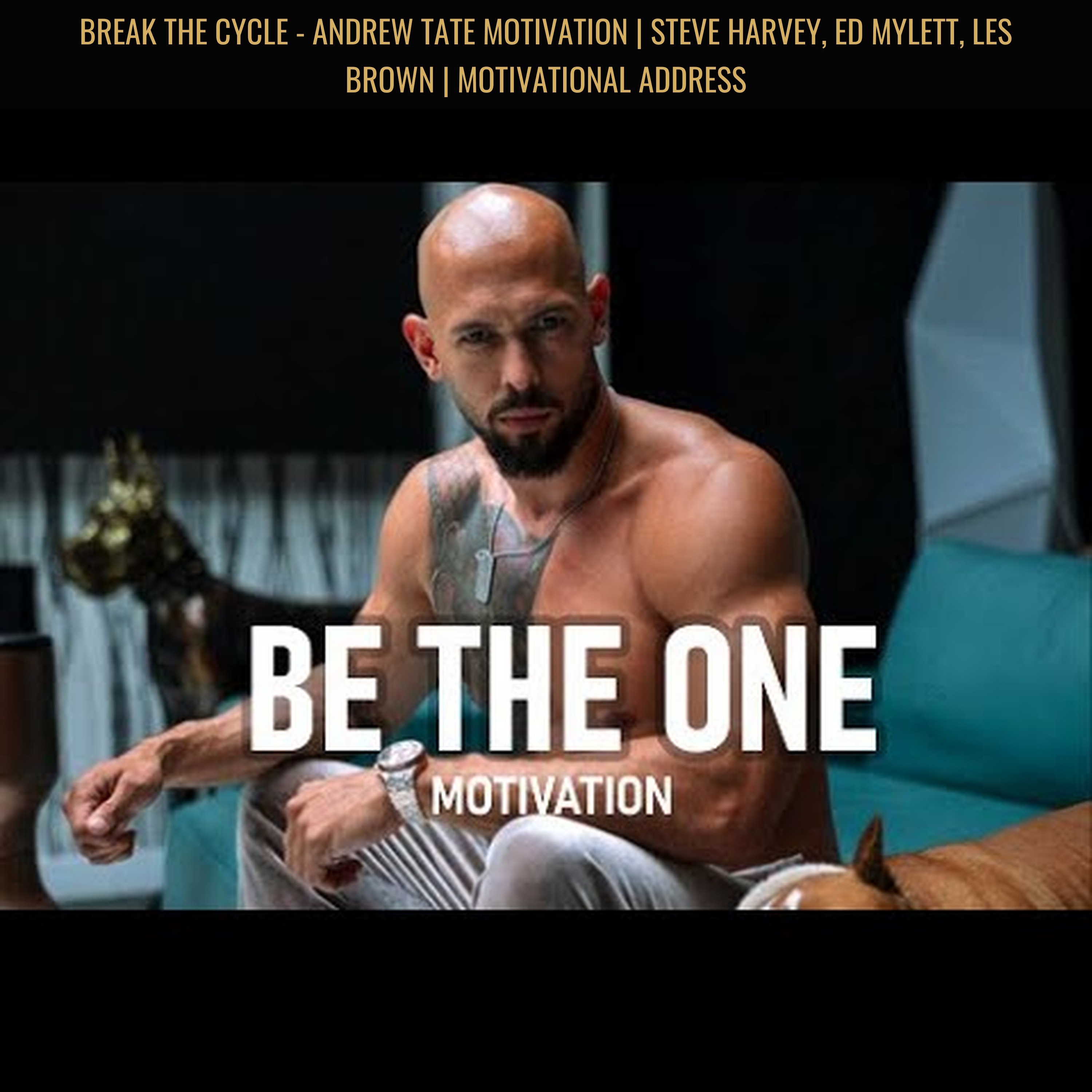 BREAK THE CYCLE - Andrew Tate Motivation | Steve Harvey, Ed Mylett, Les Brown | Motivational Address episode artwork