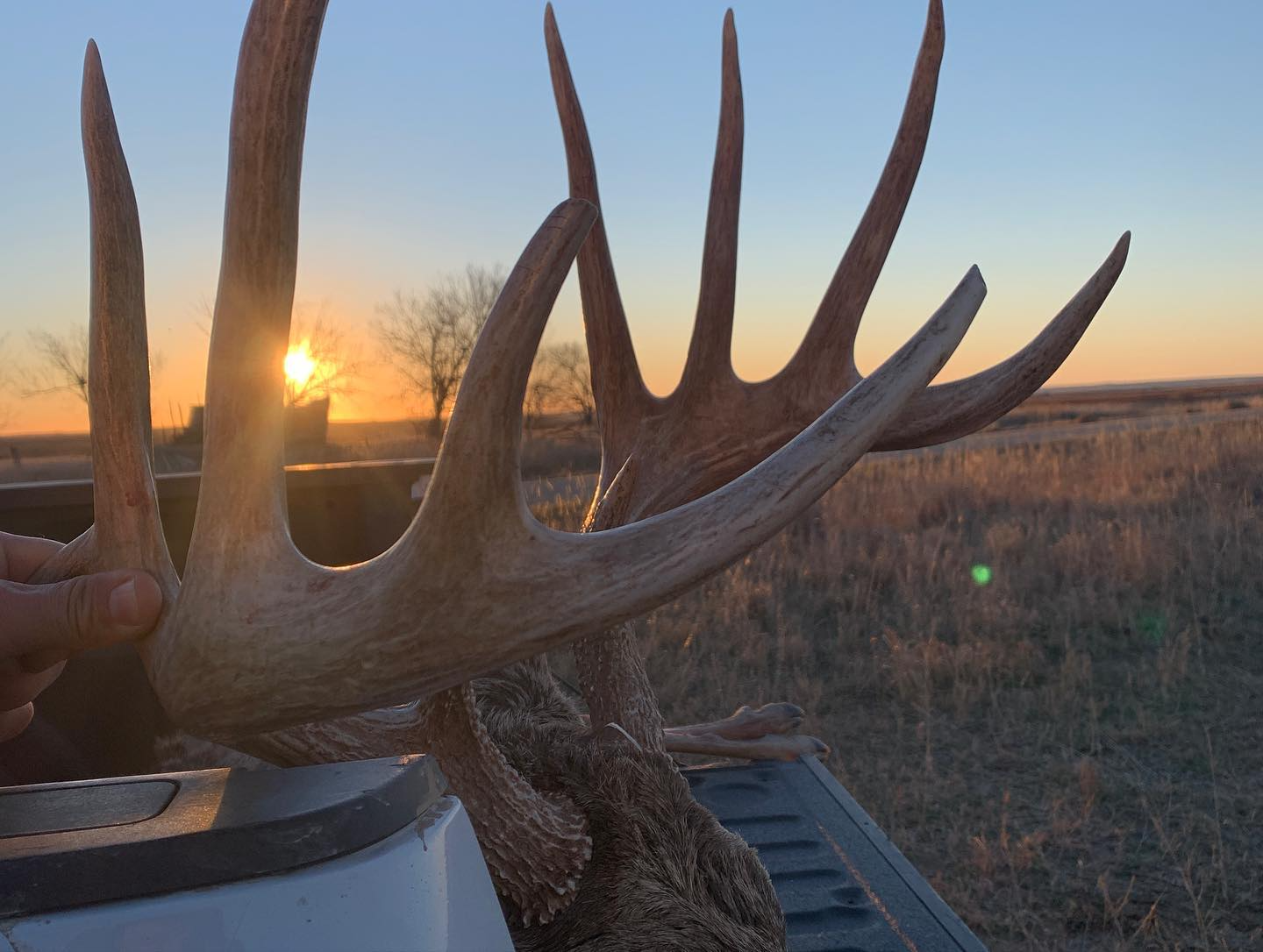 EP.444: 10 Harsh Truths Of Bowhunting