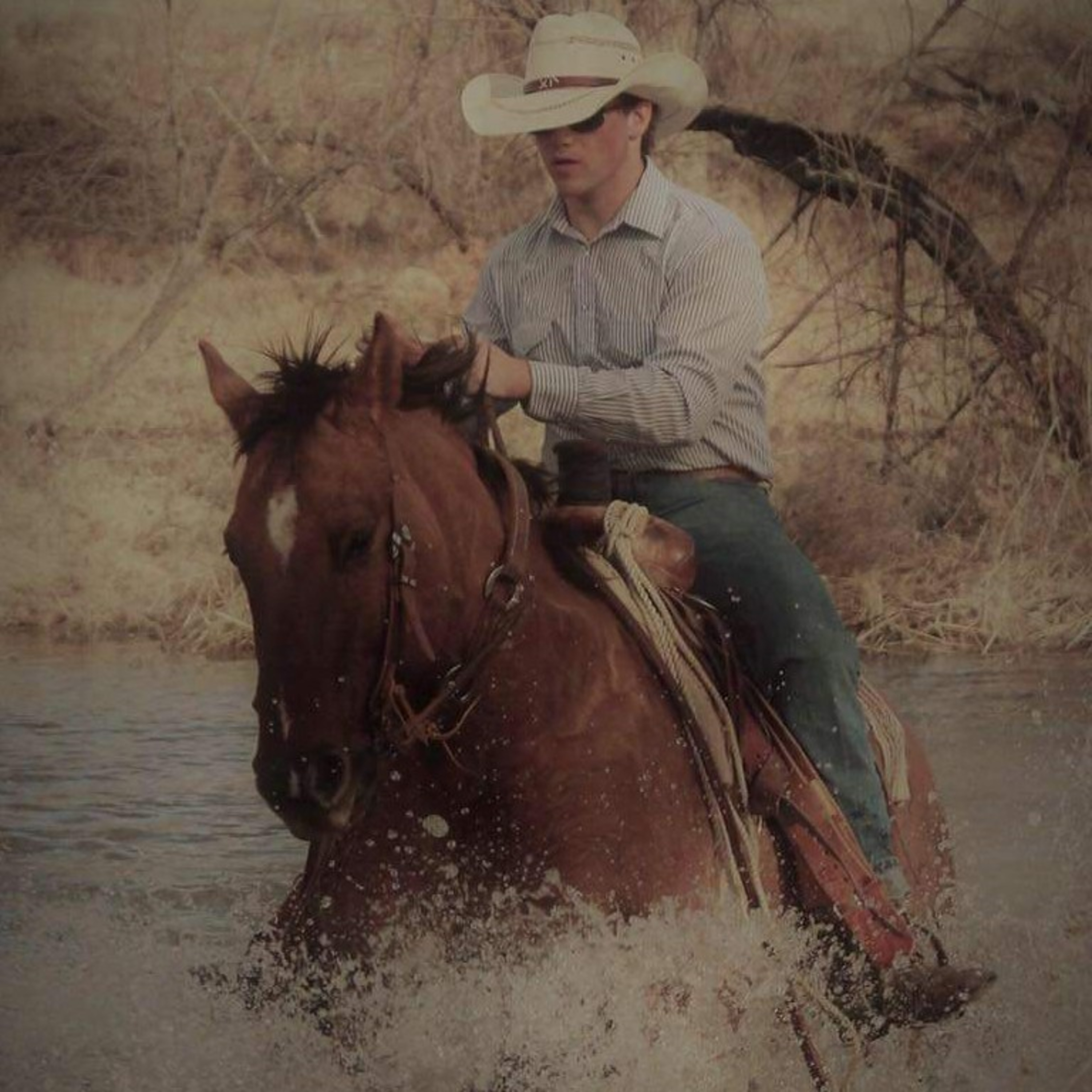 College and agriculture