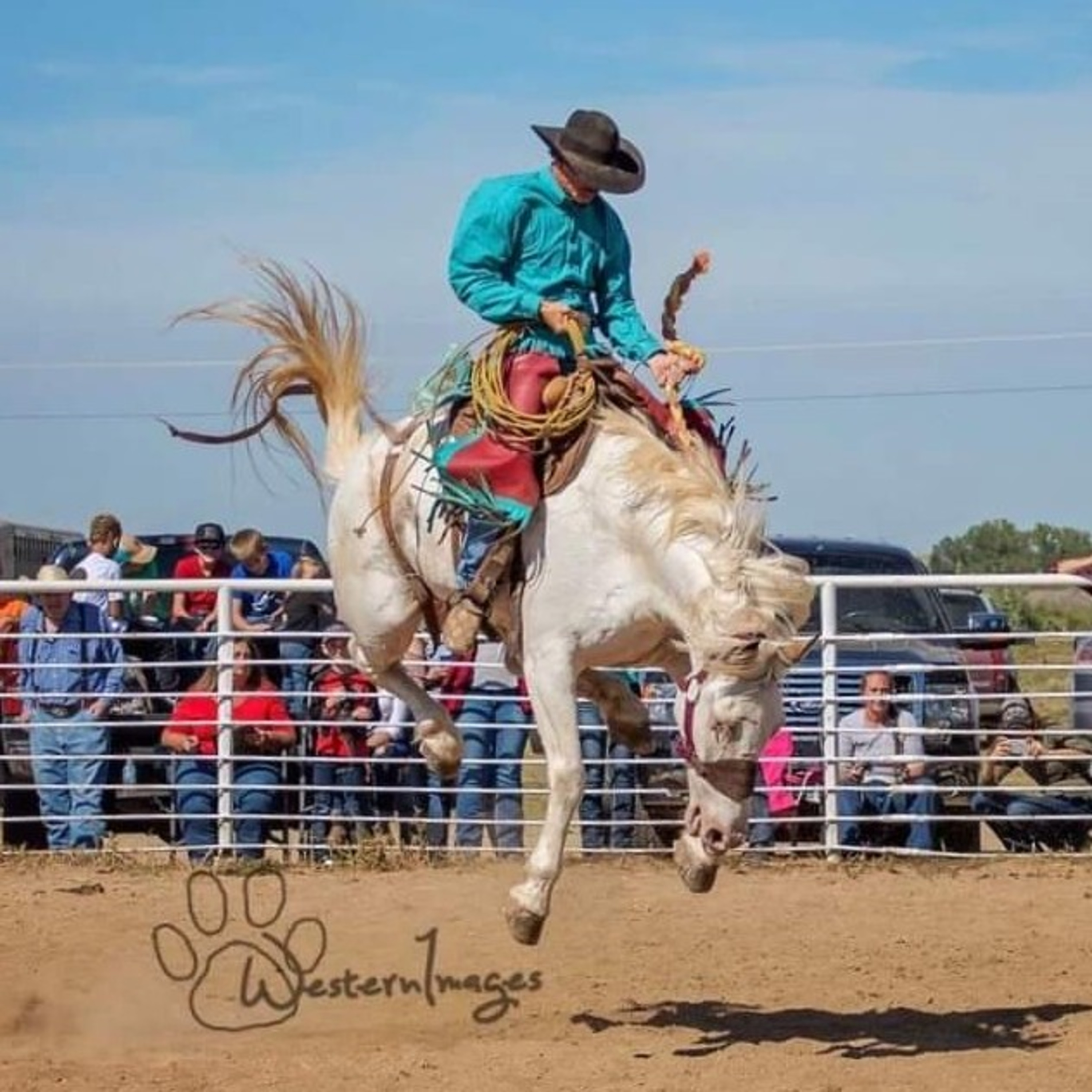 Antibiotics and Epstein