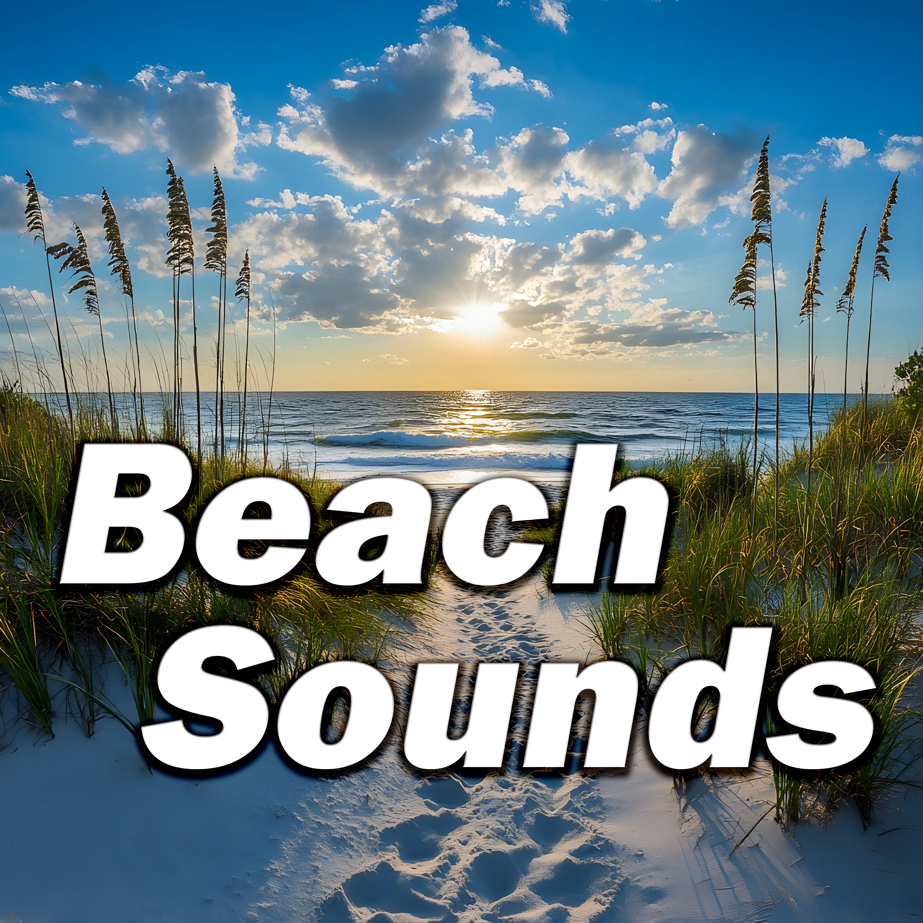 Breezy Horizons: Relaxing Coastal Ambiance