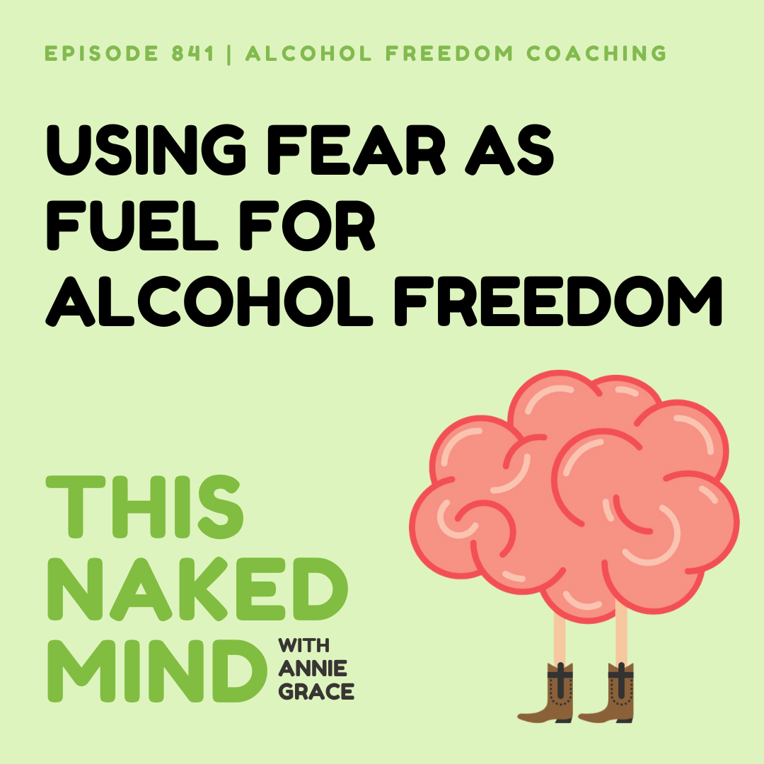Using Fear as Fuel For Alcohol Freedom | Alcohol Freedom Coaching | E841