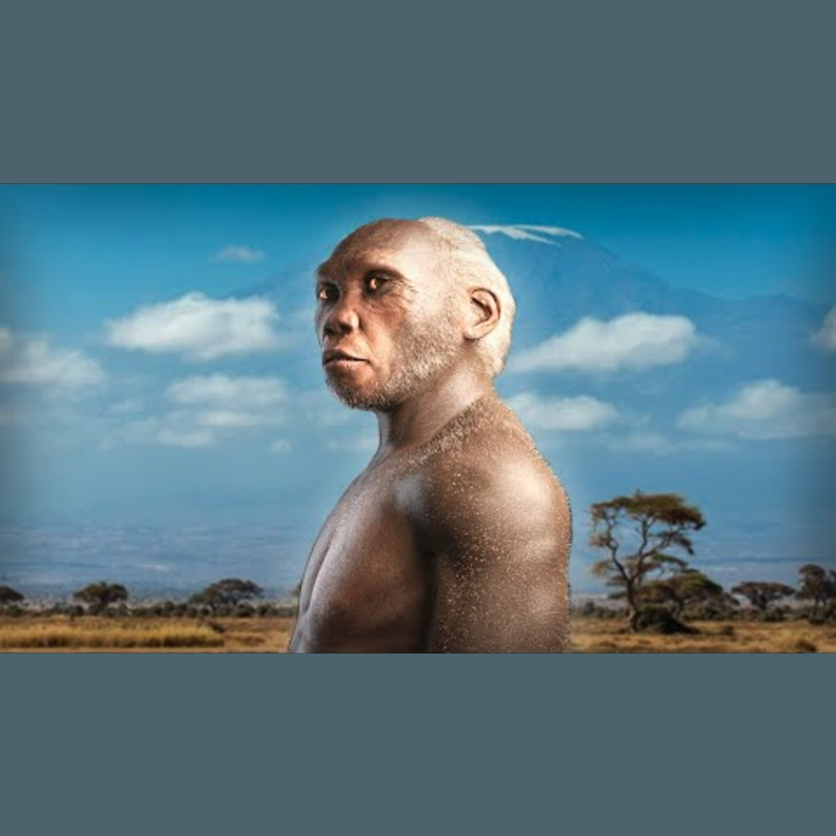 Homo Habilis - Ancient Human episode artwork