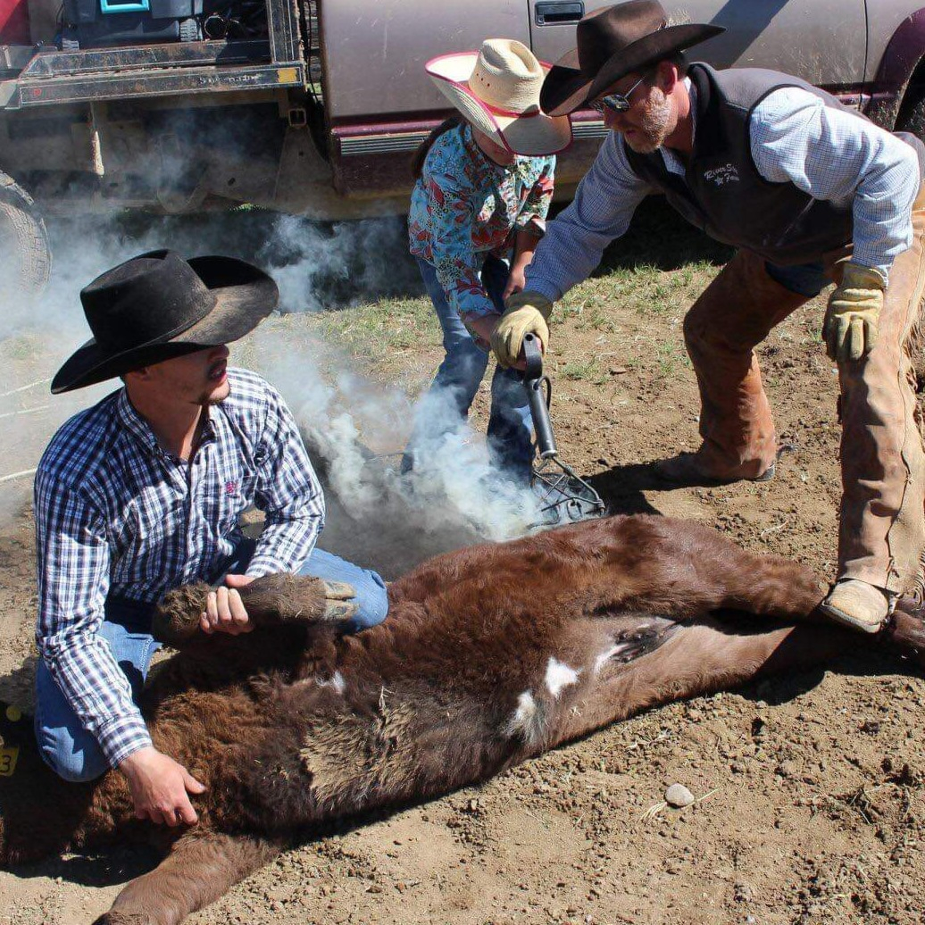 Training on Elizabeth Warren