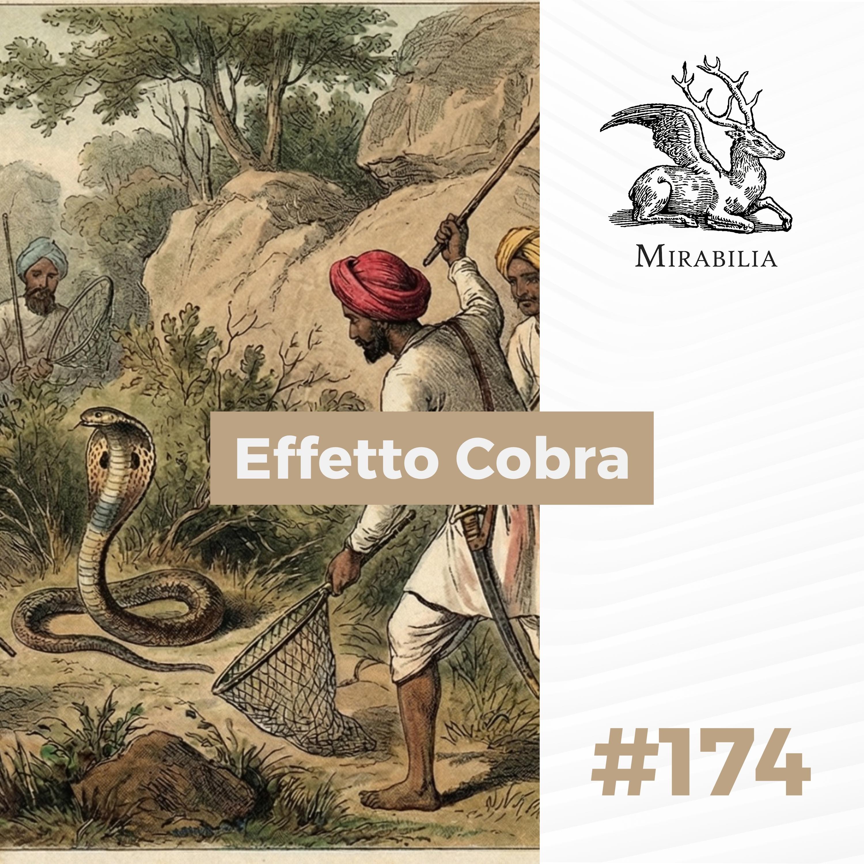 174. Effetto Cobra