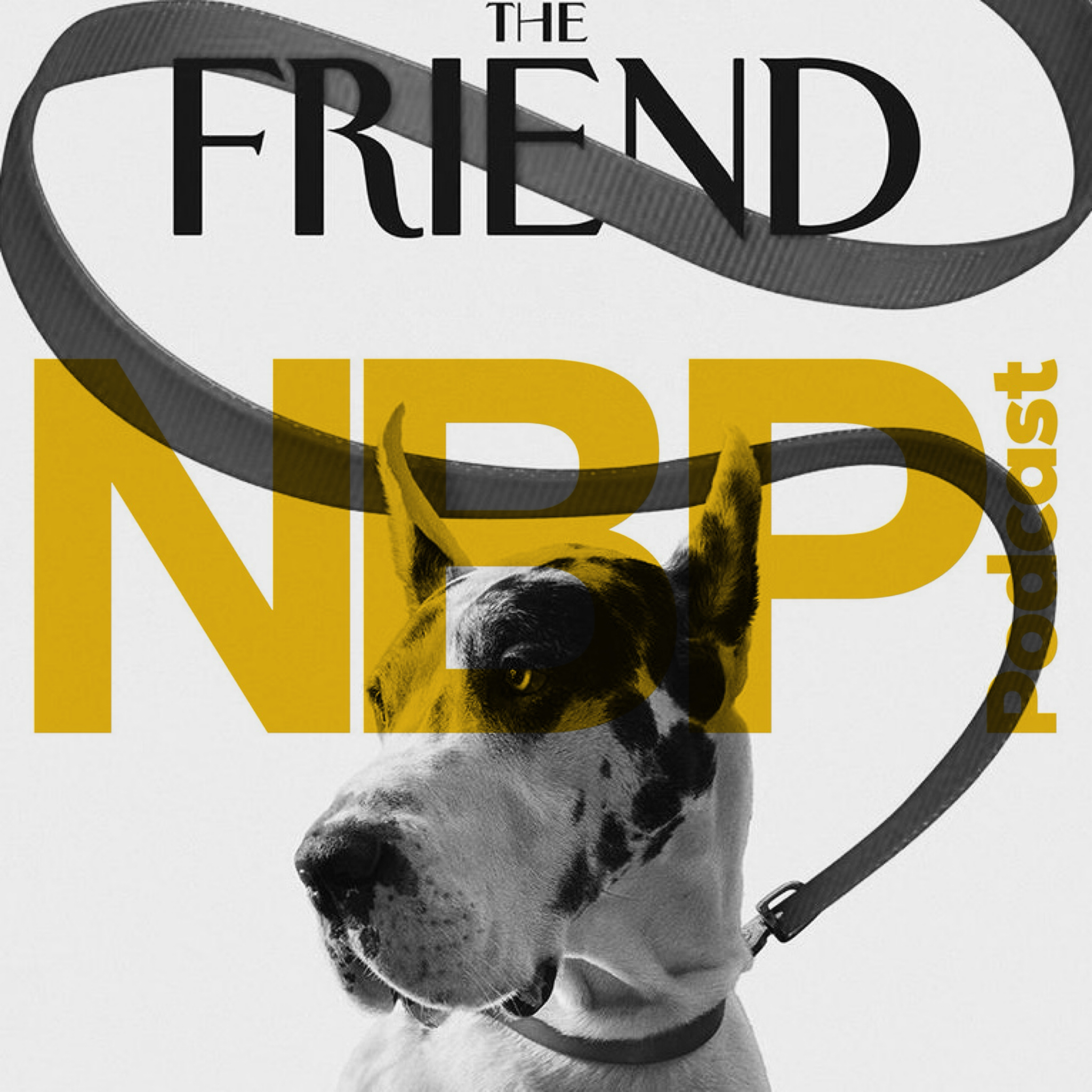 Interview With "The Friend" Filmmakers Scott McGehee & David Siegel