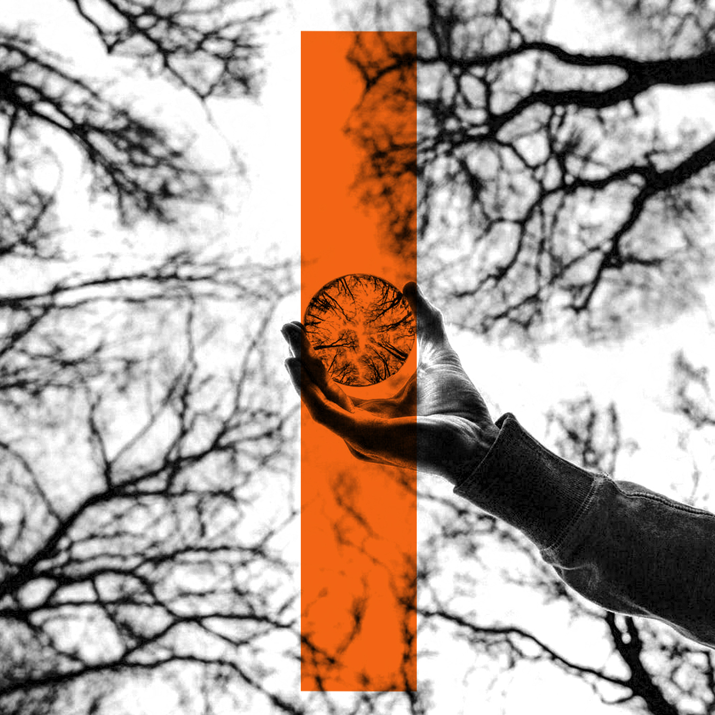 The Psychic Vampires