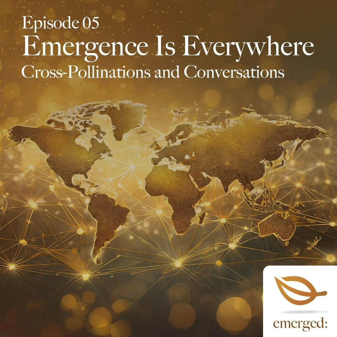 05 | Emergence Is Everywhere: Cross-Pollinations and Conversations
