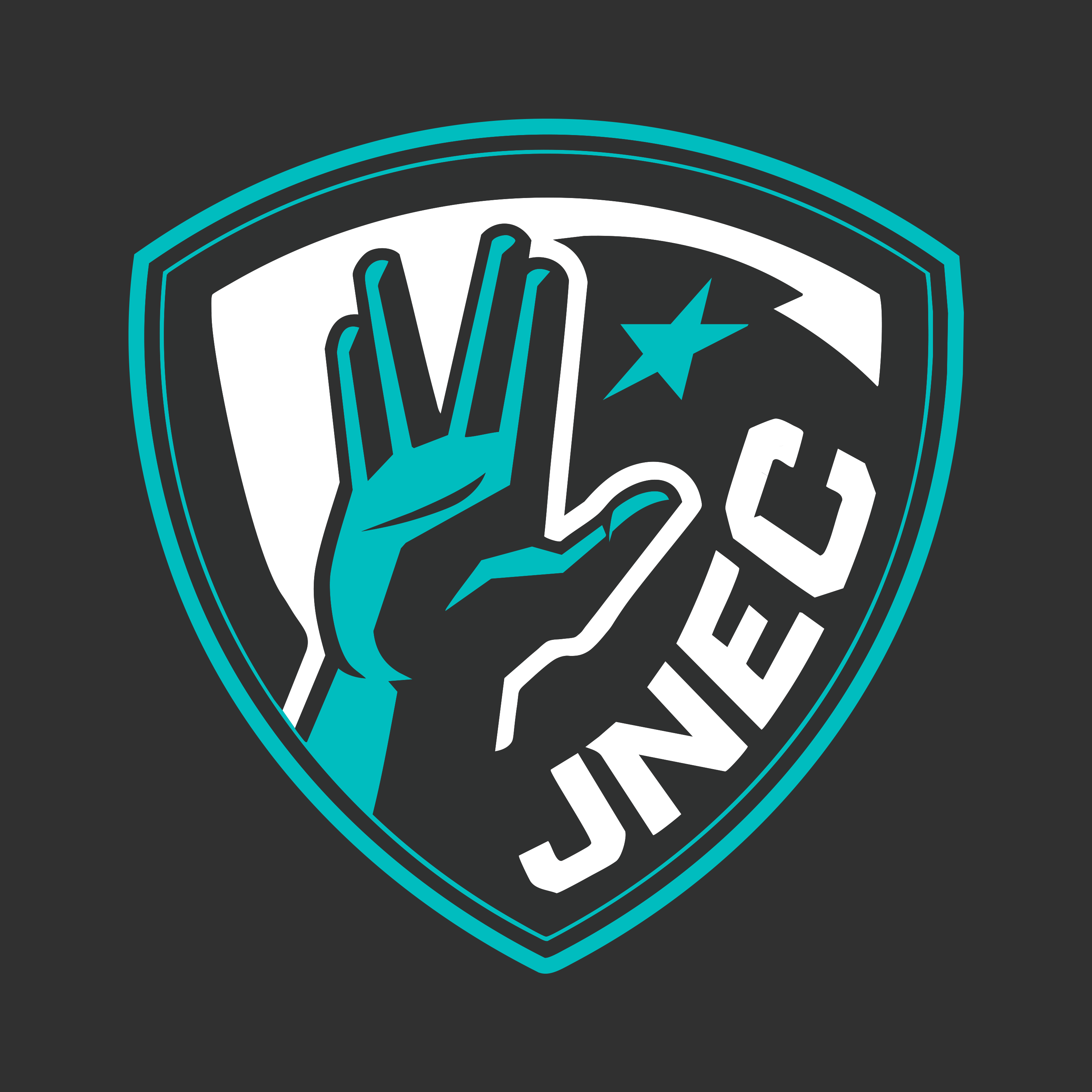 Jovem Nerd Esporte Clube